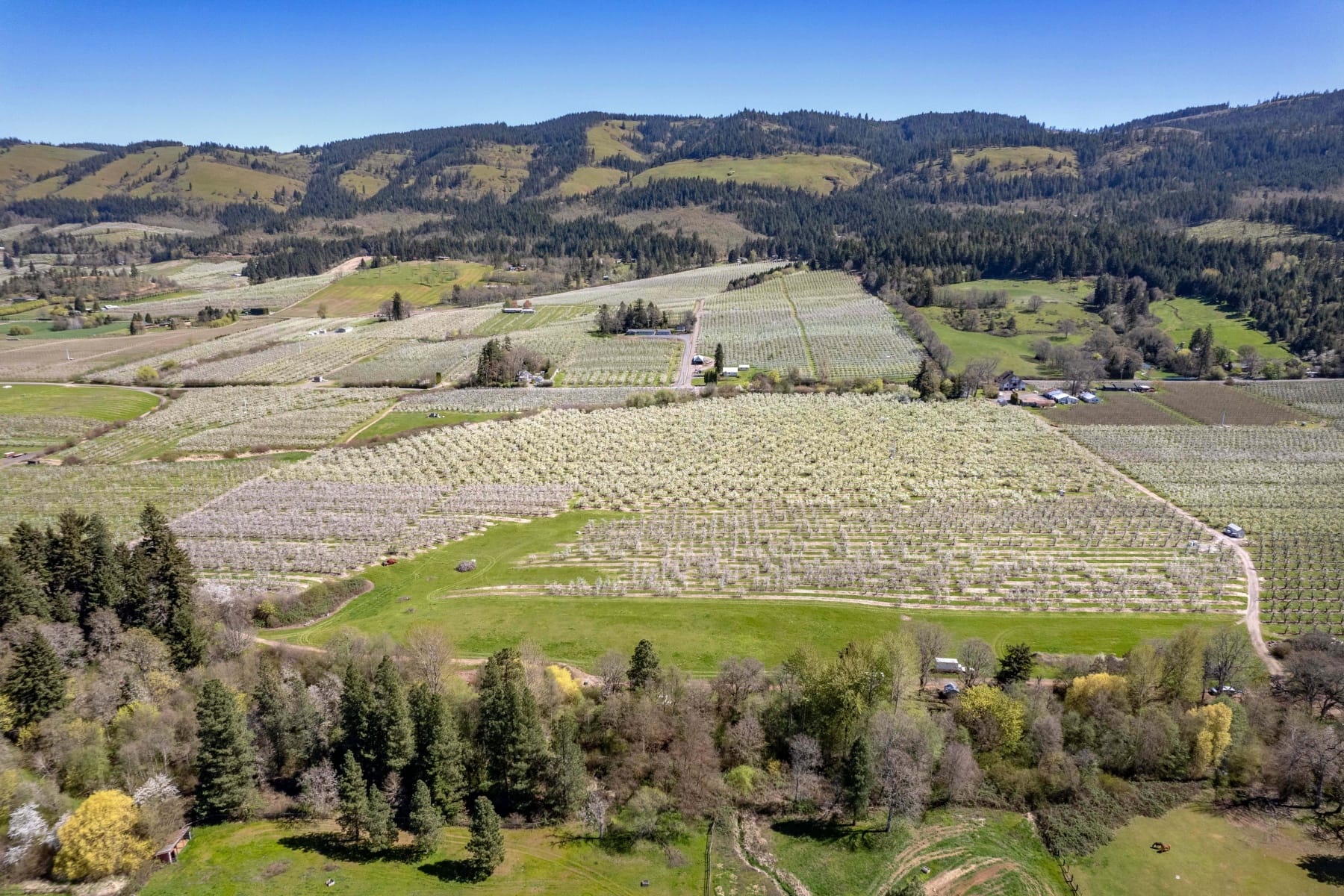  3316 THOMSEN RD Hood River, OR 97031 - 物件實景