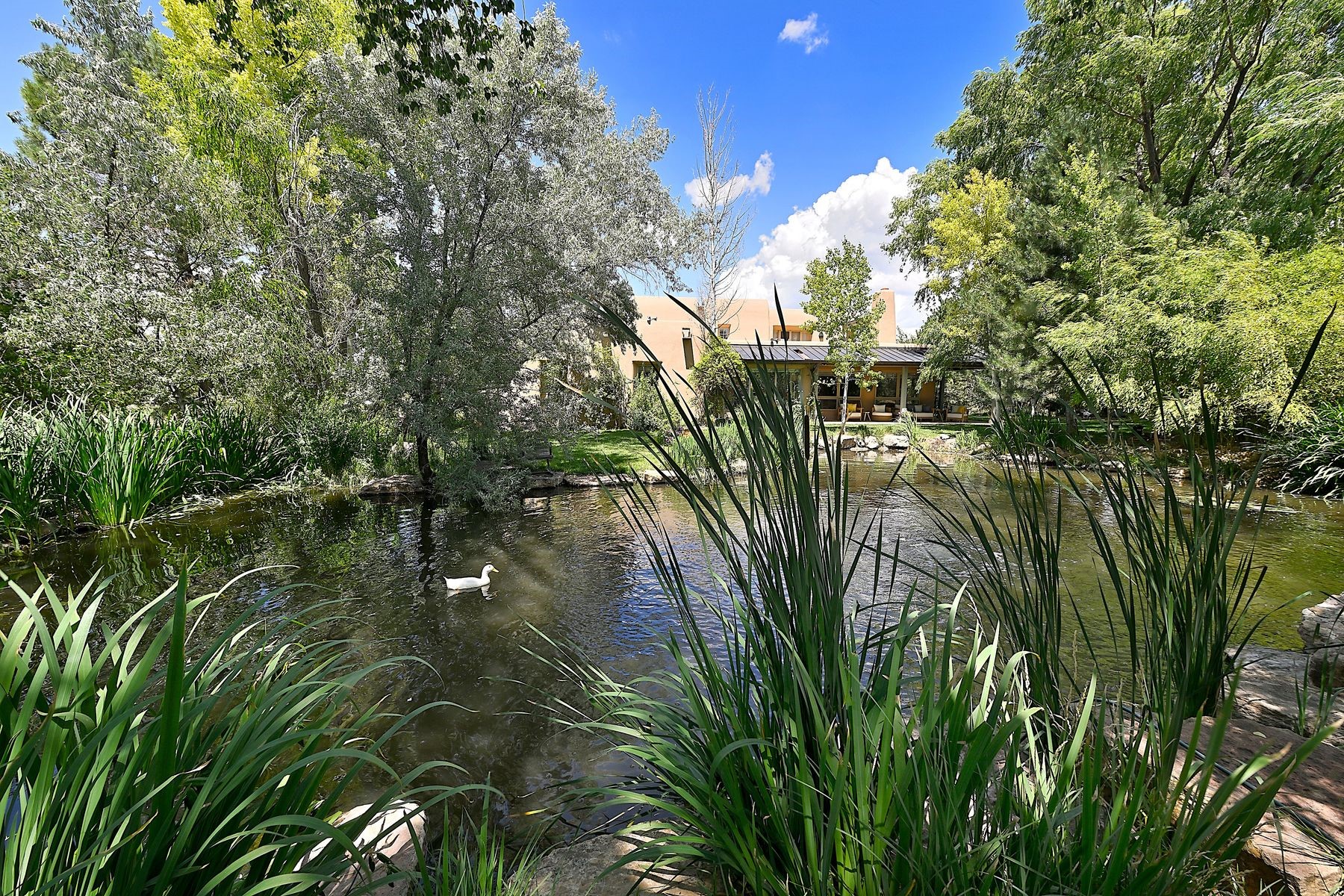  1021 Old Santa Fe Trail - 物件實景