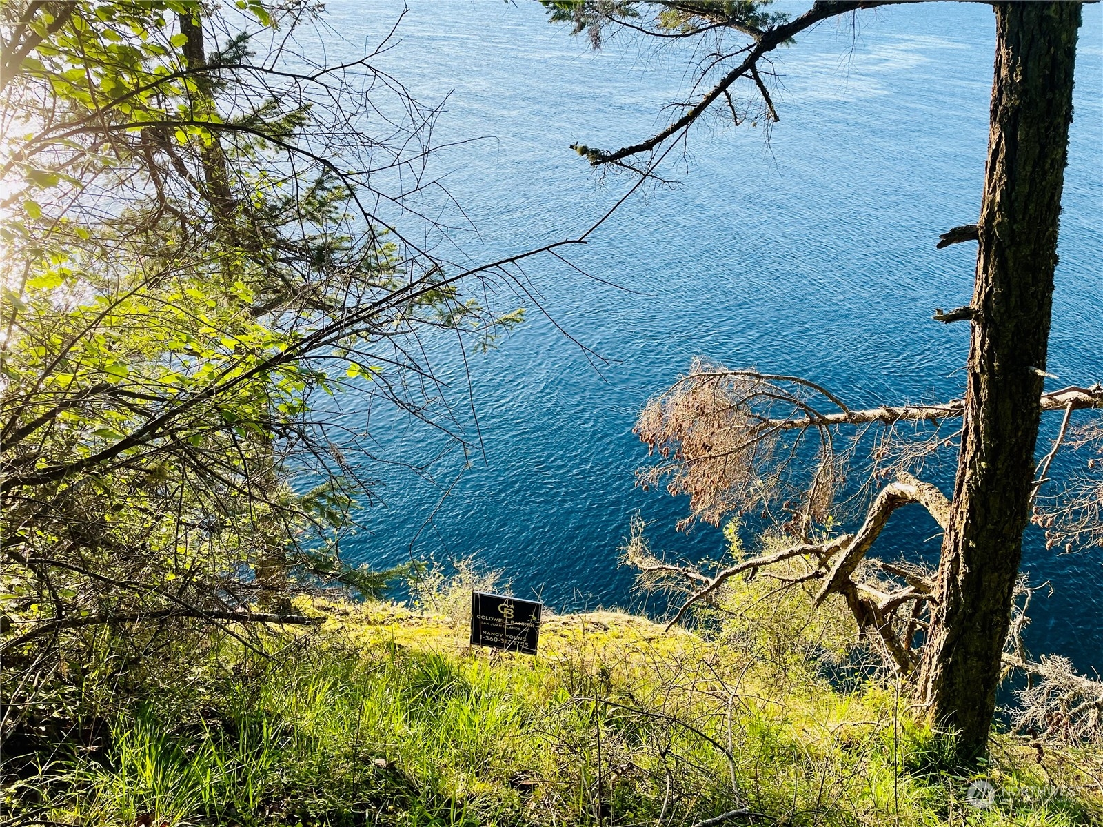 Friday Harbor, Washington, 98250, United States, ,Land,For Sale,1752518