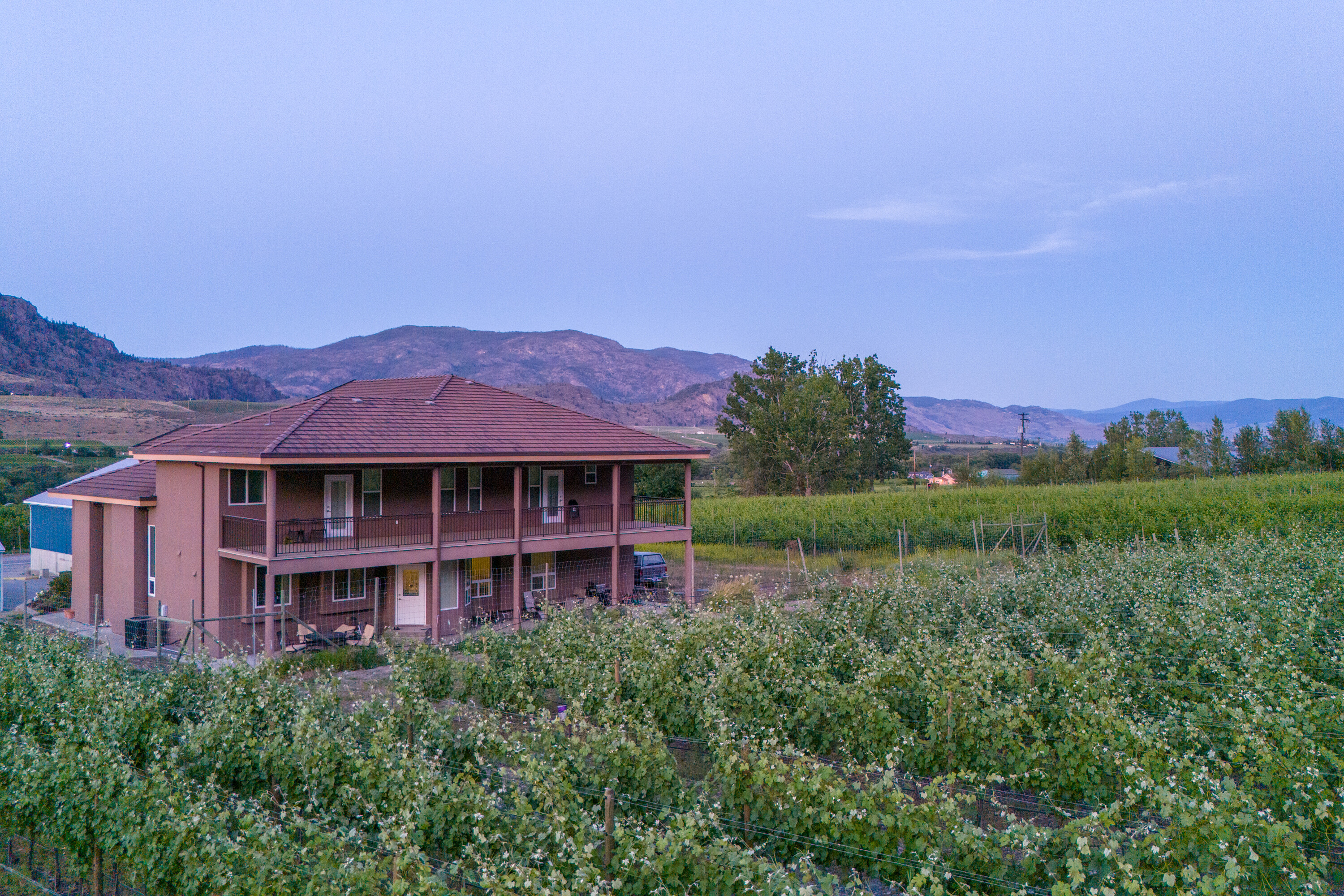  Vineyard Estate Receivership - 物件實景