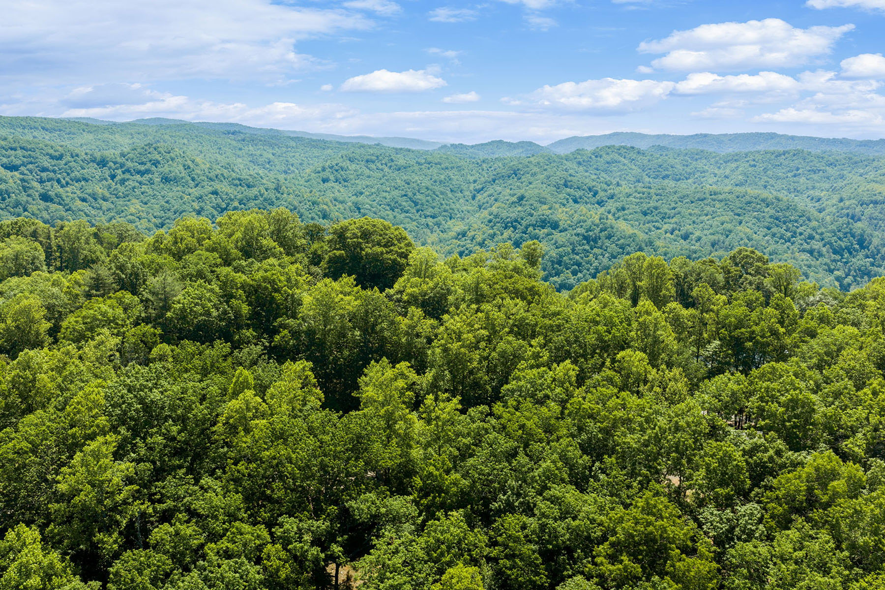  DEEP GAP - POWDER HORN - 物件實景