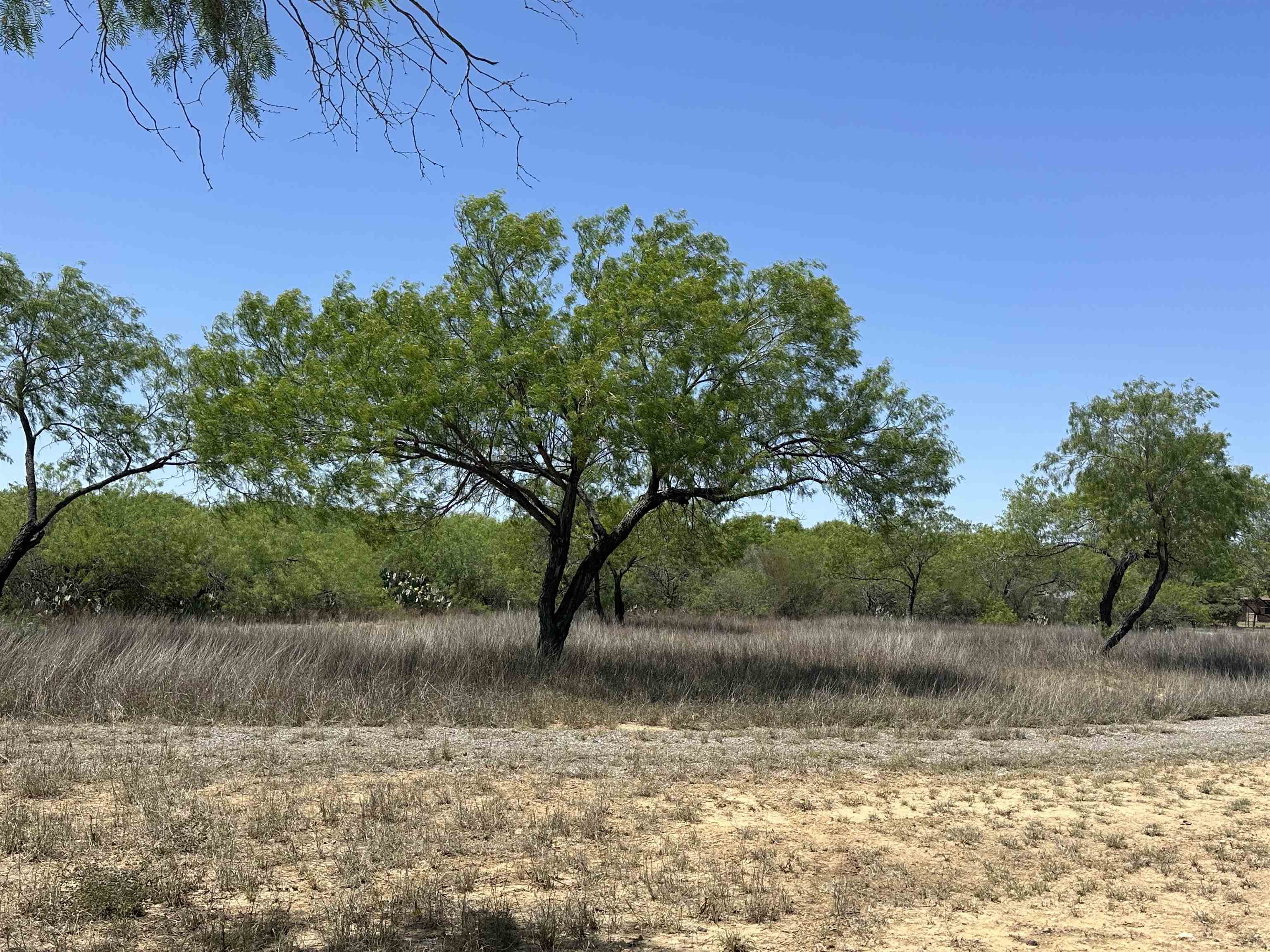 Laredo, Texas, 78045, United States, ,Land,For Sale,1770217
