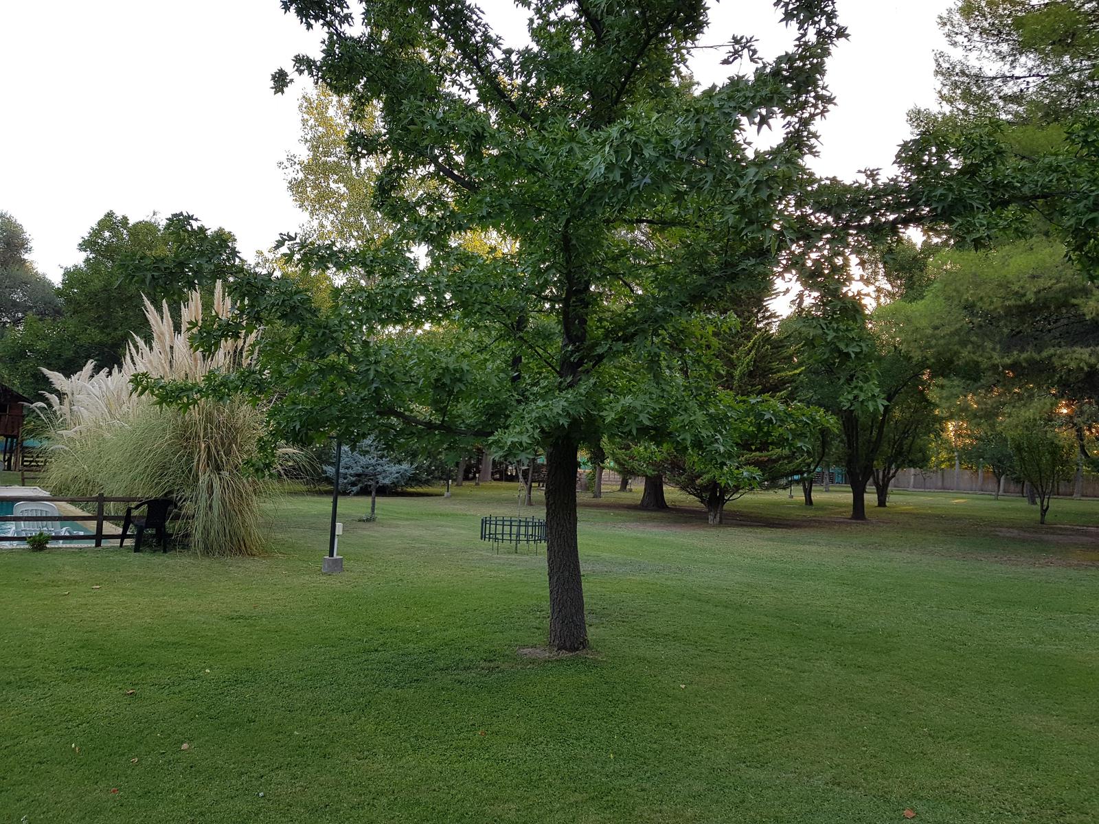 Rivadavia, AR-M, AR, 10 Bedrooms Bedrooms, ,8 BathroomsBathrooms,Residential,For Sale,1751243
