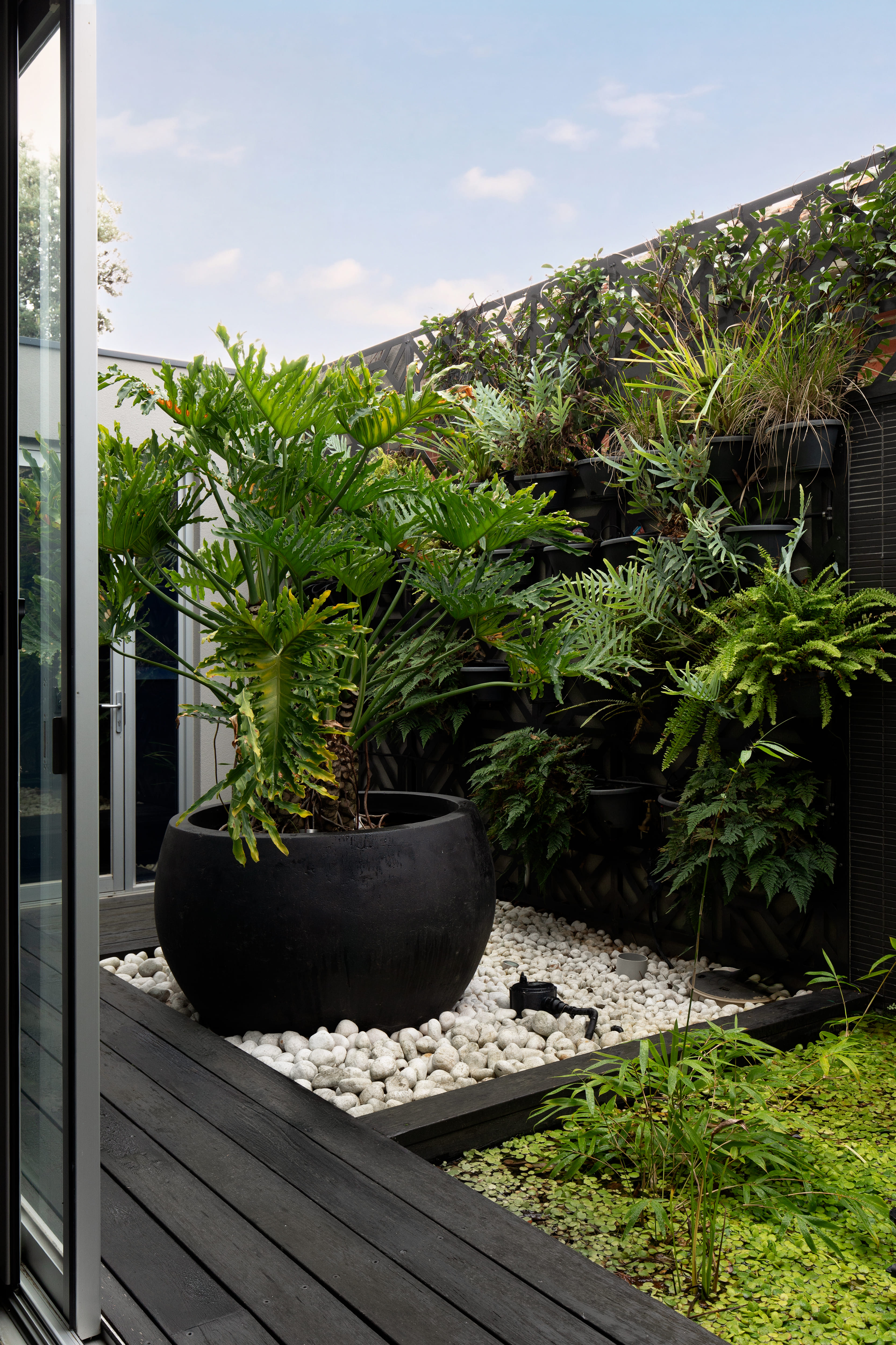  10a Dawson Avenue, Brighton - 物件實景