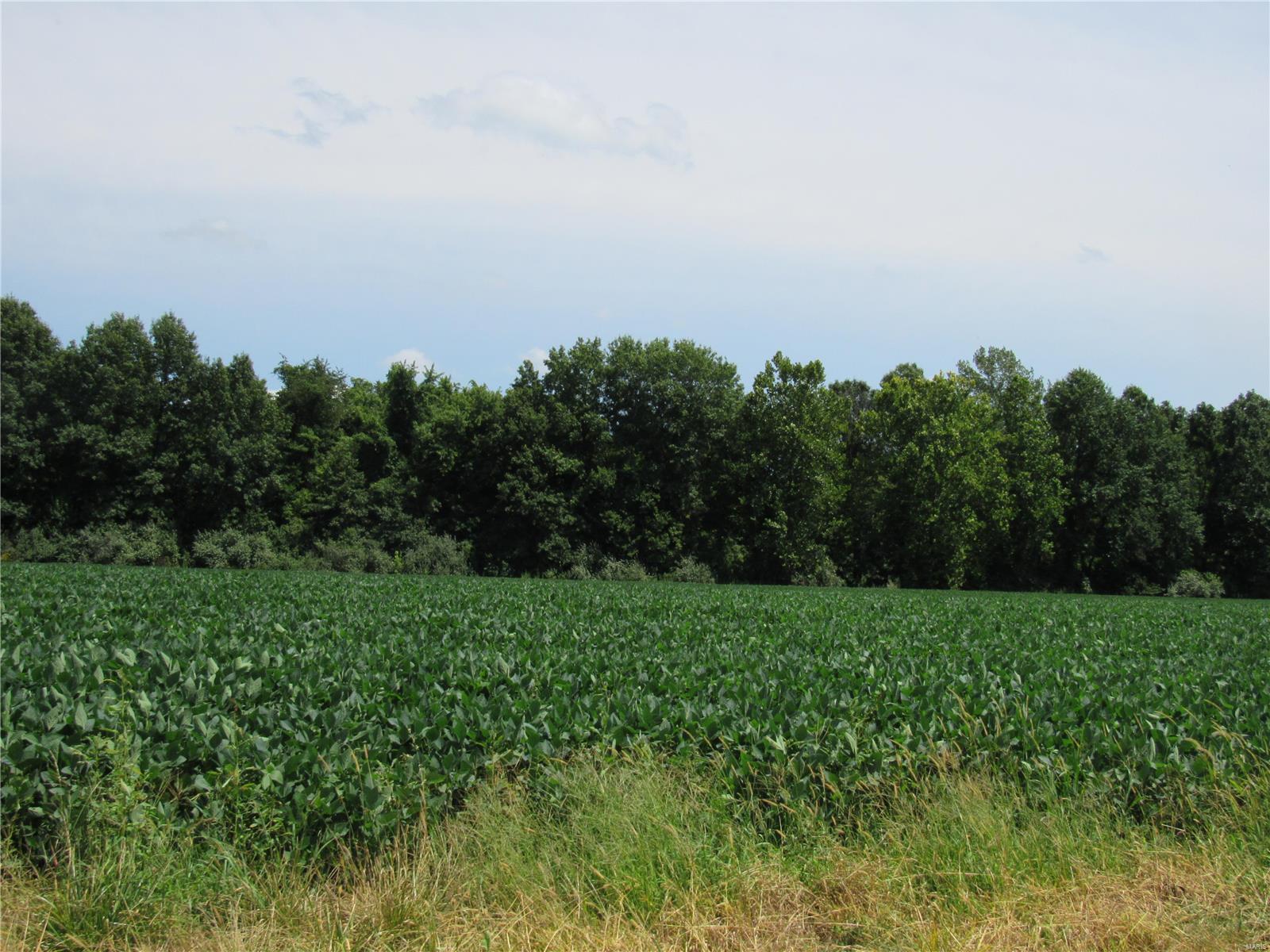 0 Wood Station Road, Alton, Illinois, 62002, United States, ,Residential,For Sale,0 Wood Station Road,1595953