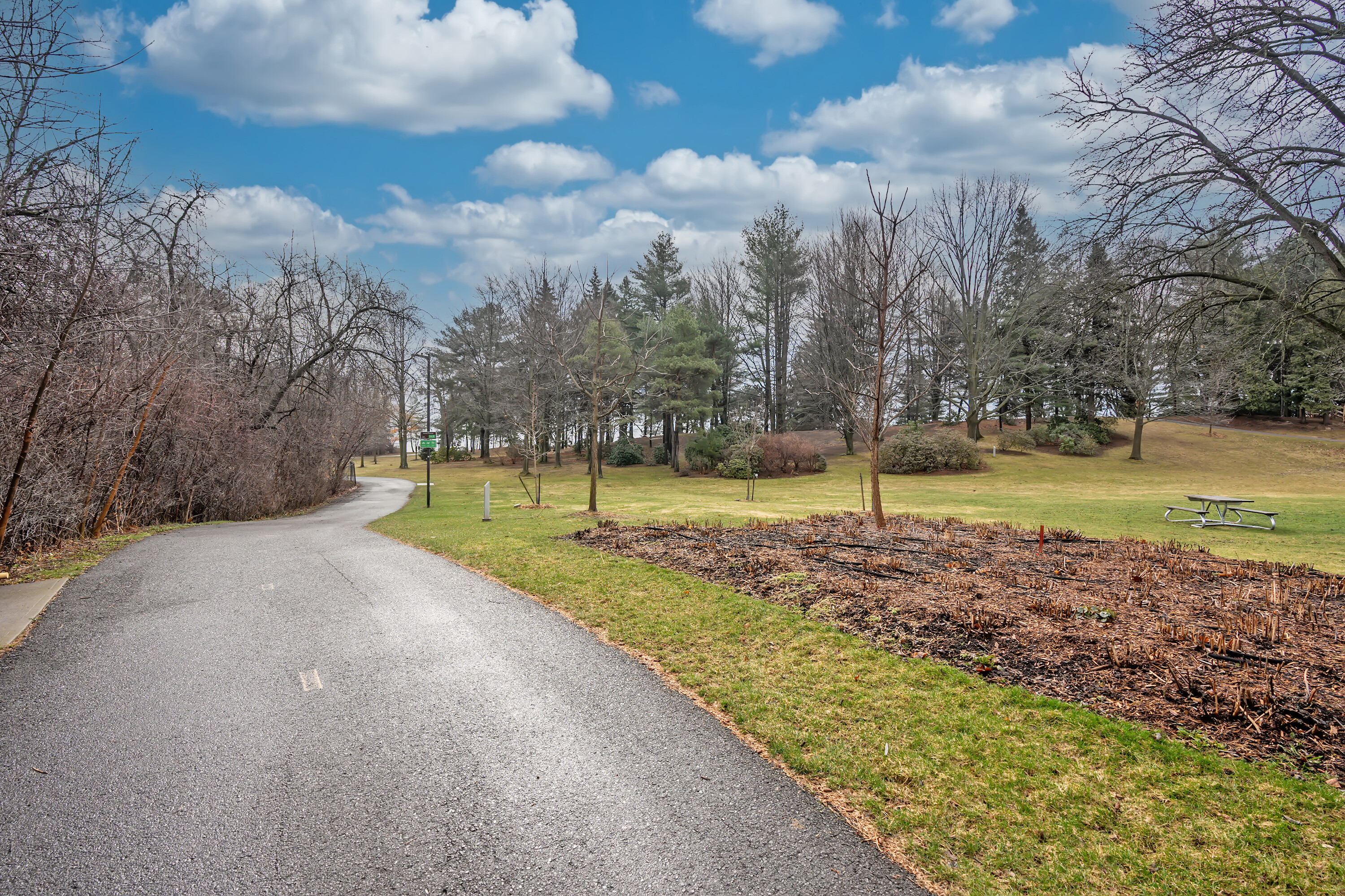  Updated Port Credit Townhome - 物件實景
