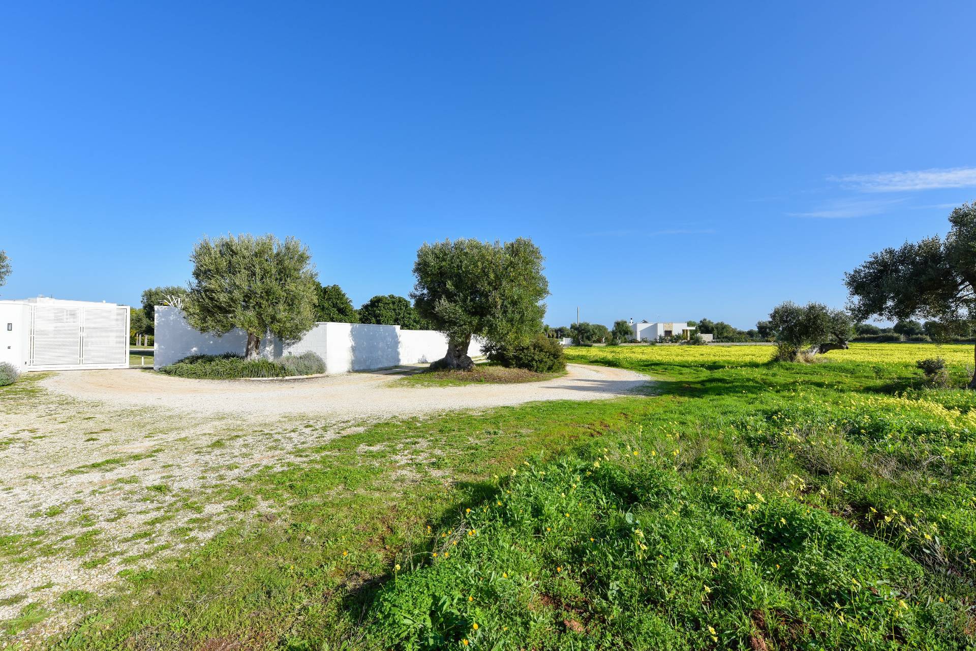 Contrada Lamandia, Monopoli, Bari, 70043, IT, 3 Bedrooms Bedrooms, ,5 BathroomsBathrooms,Residential,For Sale,Contrada Lamandia,1612218