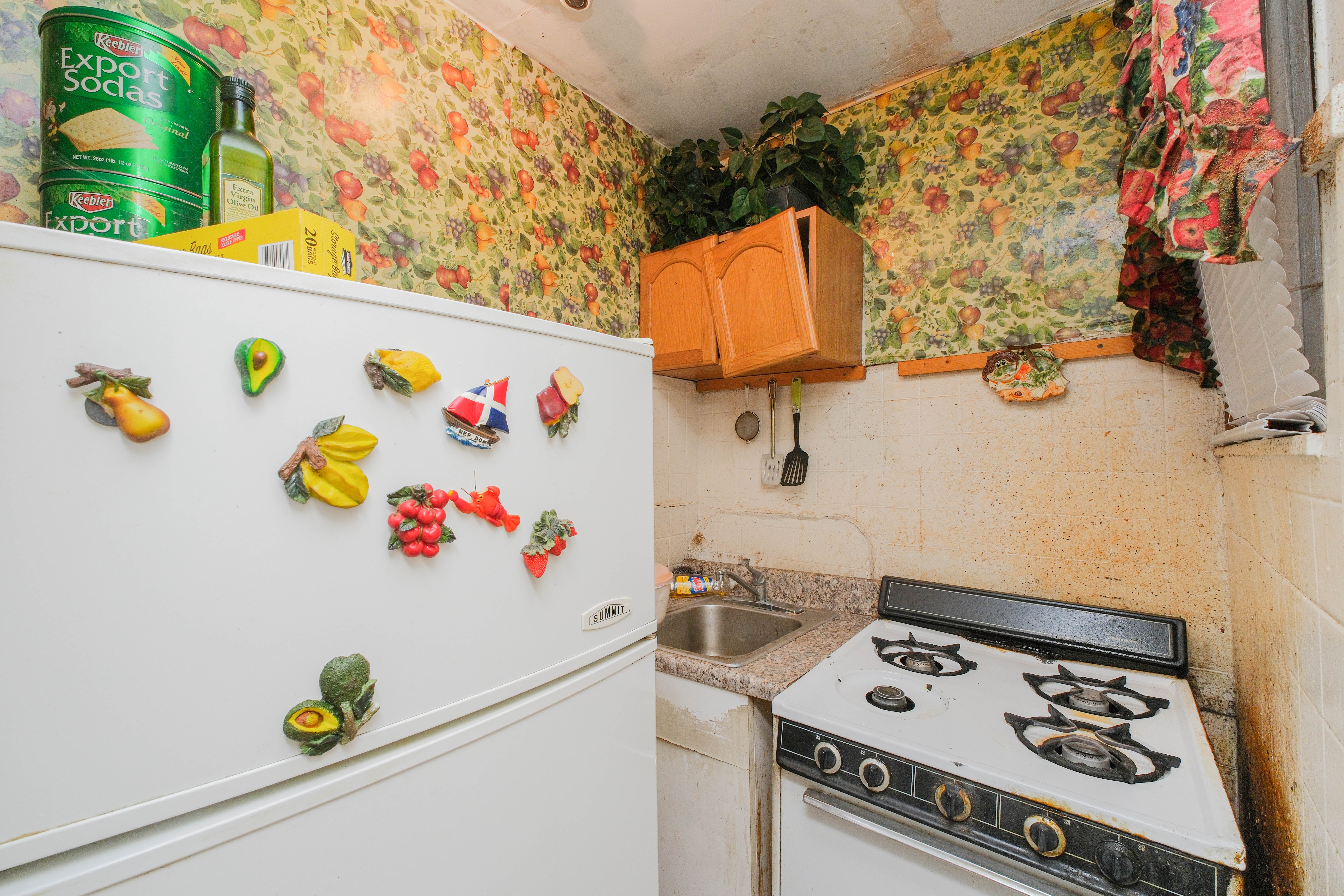 Brooklyn, New York, 11225, United States, 4 Bedrooms Bedrooms, ,1 BathroomBathrooms,Residential,For Sale,1763201