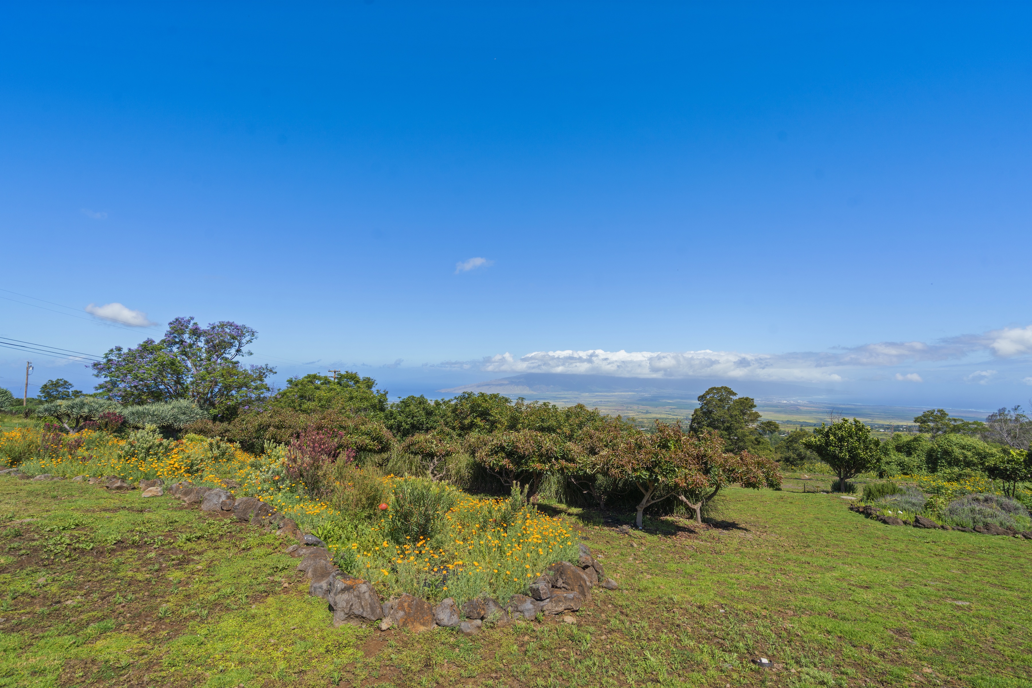  Architectural Kula Estate with Panoramic Views and Cottage - 物件實景
