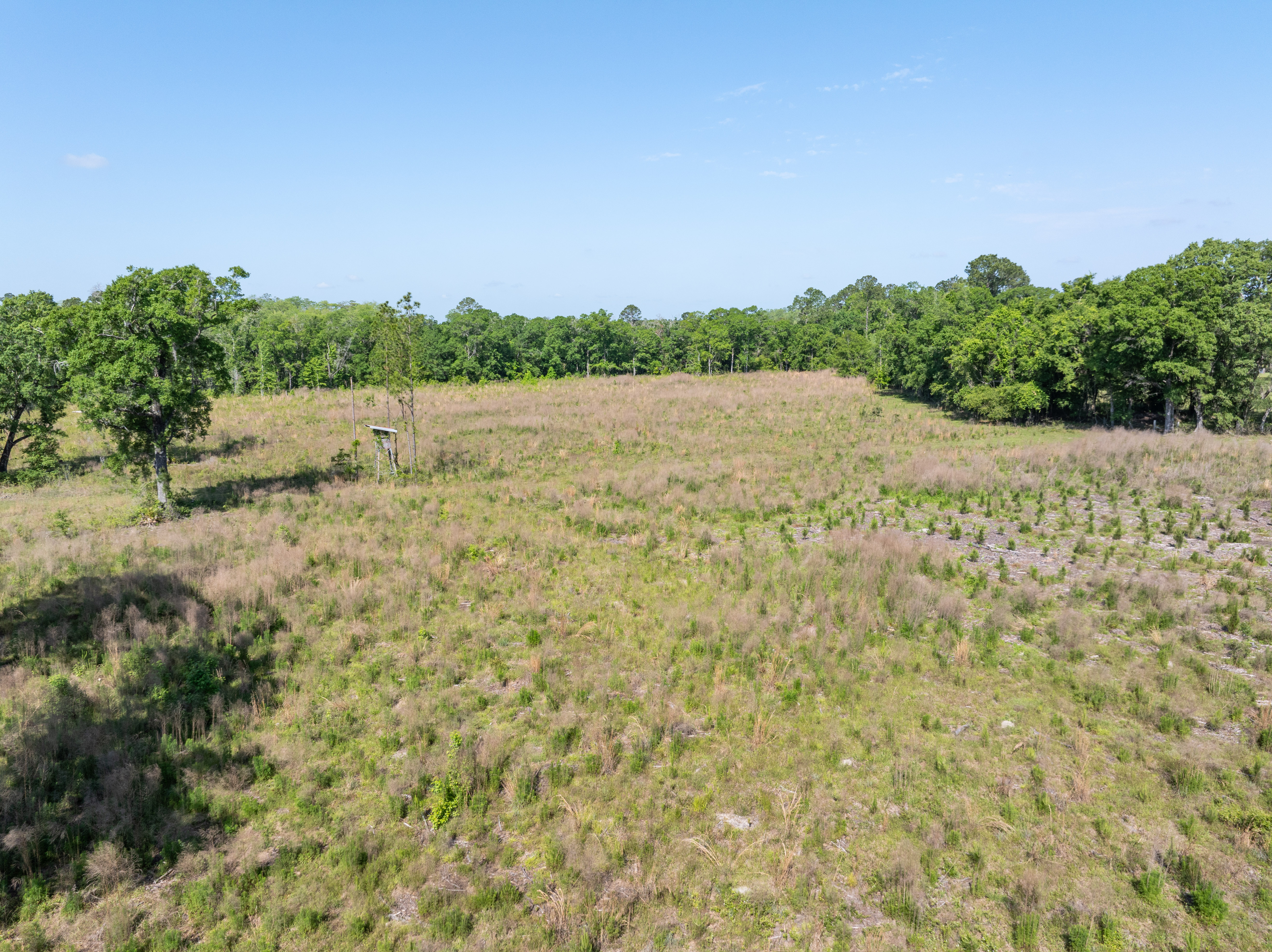 Lake City, Florida, 32025, United States, 3 Bedrooms Bedrooms, ,2 BathroomsBathrooms,Residential,For Sale,1737016