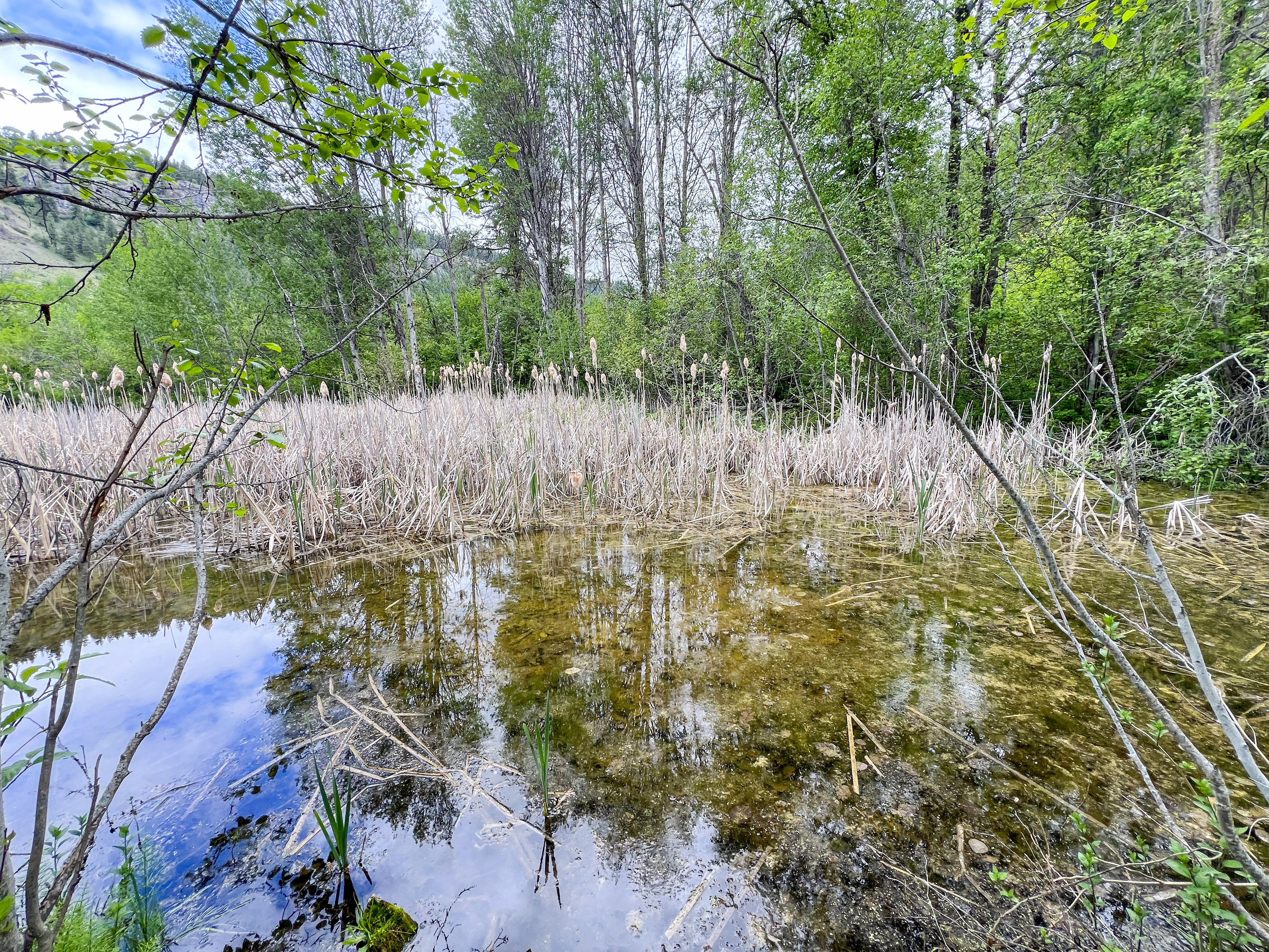 Kettle Falls, Washington, 99141, United States, 3 Bedrooms Bedrooms, ,2 BathroomsBathrooms,Residential,For Sale,1985709