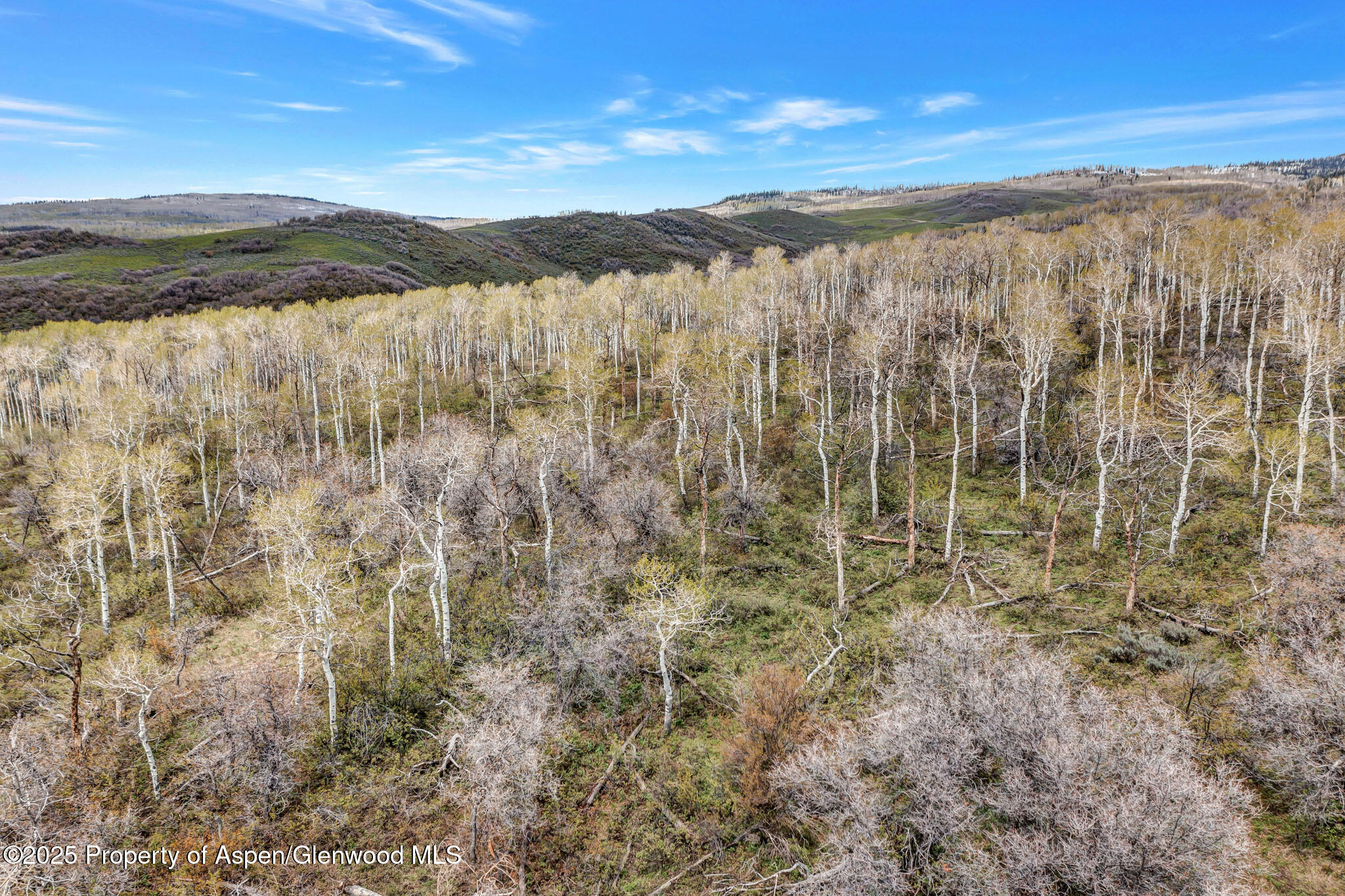 Hayden, Colorado, 81639, United States, ,Residential,For Sale,1901288