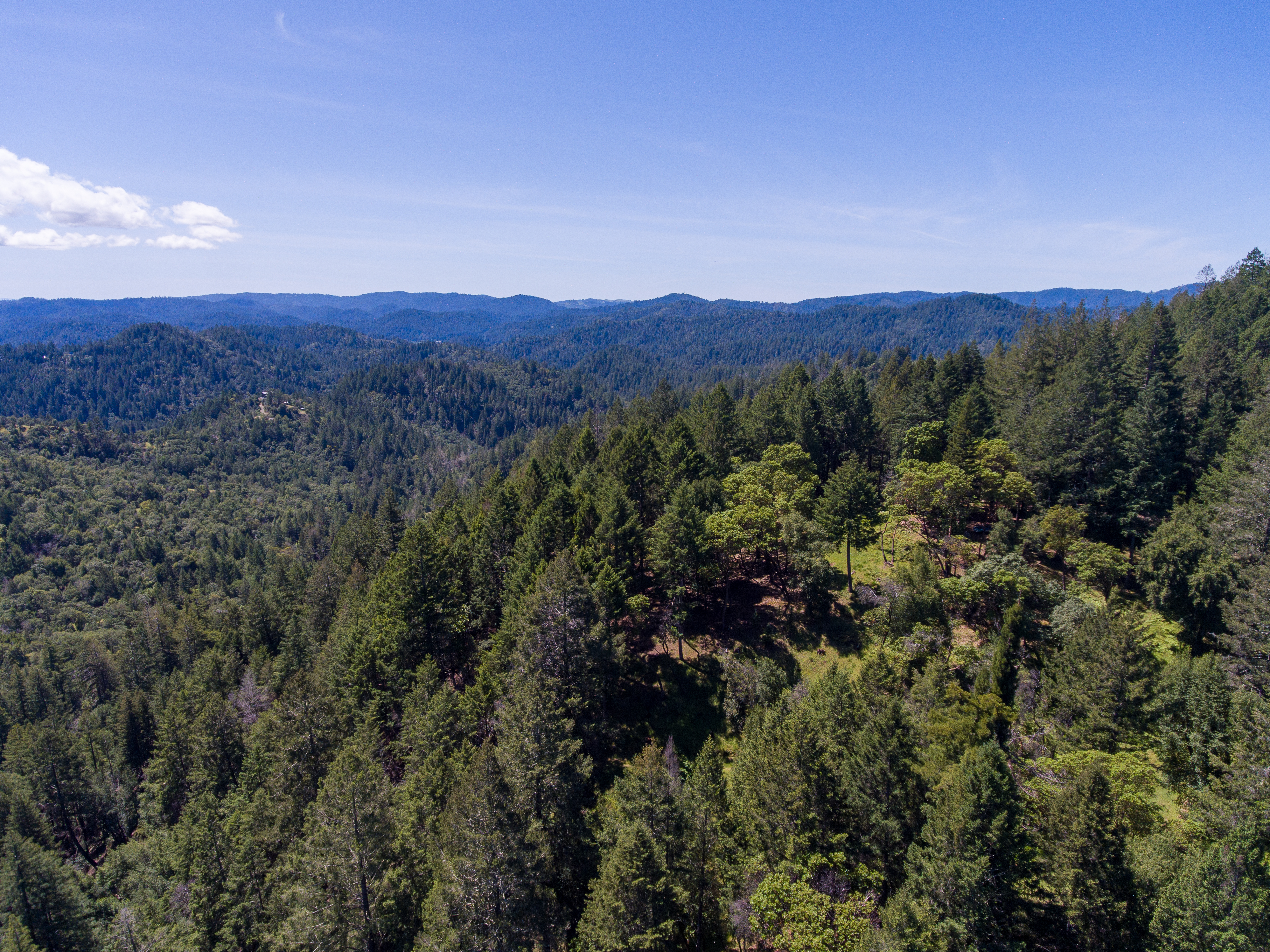  18900 Armstrong Woods Road, Guerneville, CA 95446 - 物件實景