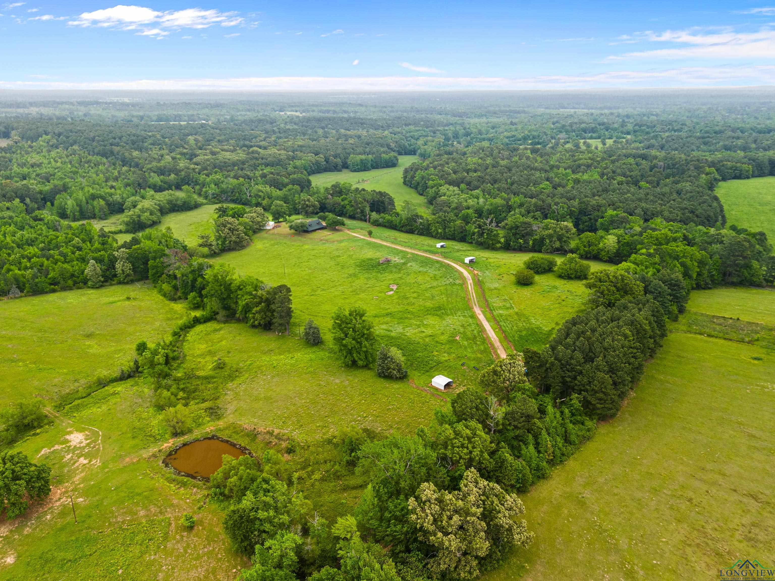 4834 FM 2088, Gilmer, Texas, 75644, United States, 4 Bedrooms Bedrooms, ,3 BathroomsBathrooms,Residential,For Sale,4834 FM 2088,1668999