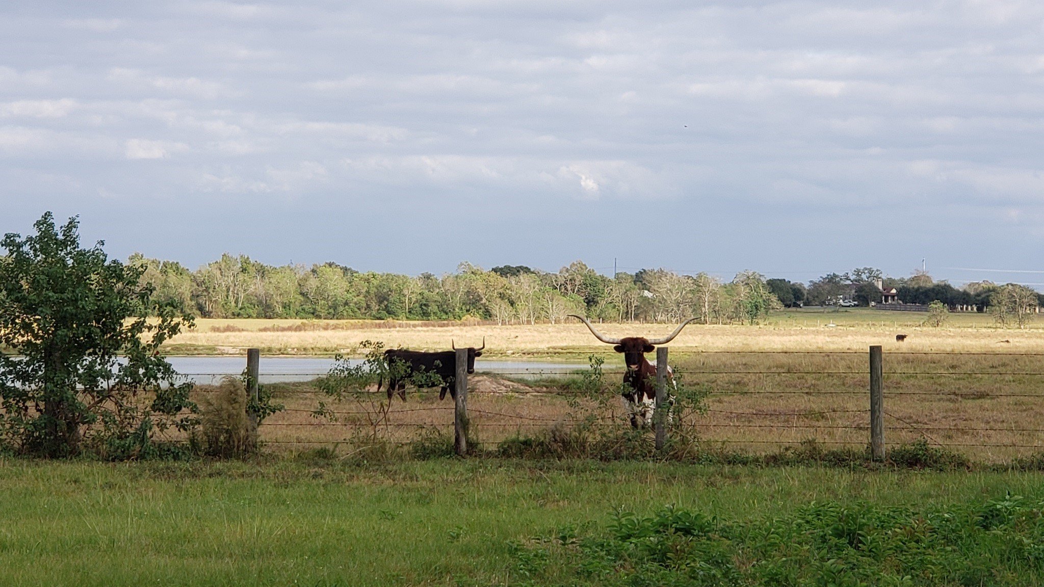 Hockley, Texas, 77447, United States, 2 Bedrooms Bedrooms, ,1 BathroomBathrooms,Residential,For Sale,1974890