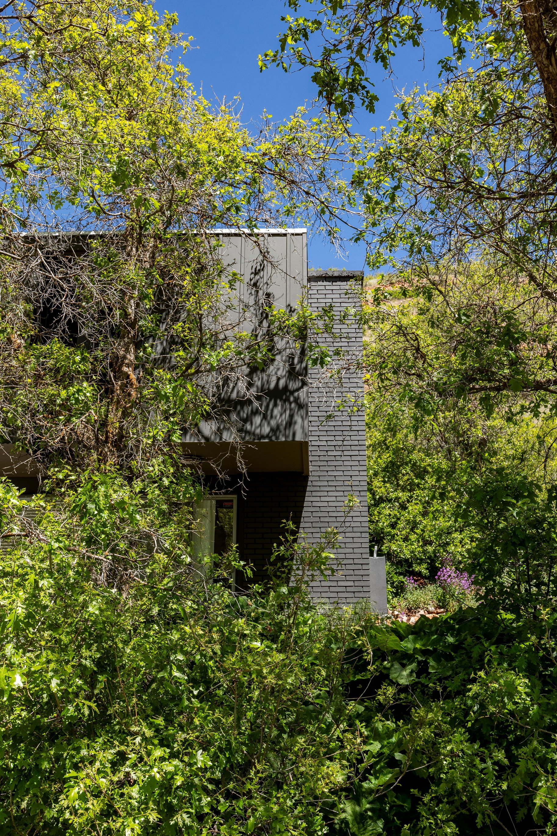  Mid-Century in the Wilderness of Emigration Canyon - 物件實景