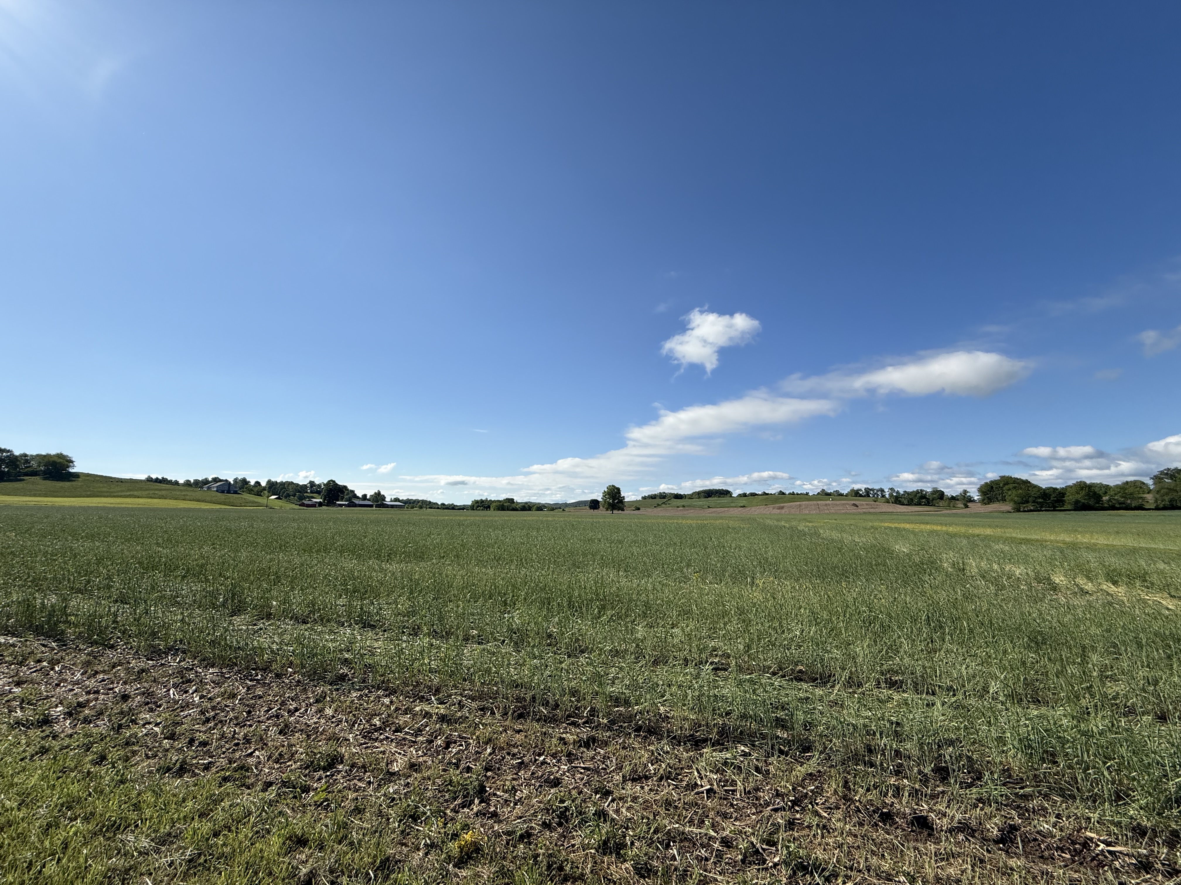 West Lafayette, Ohio, 43845, United States, ,Residential,For Sale,1825407