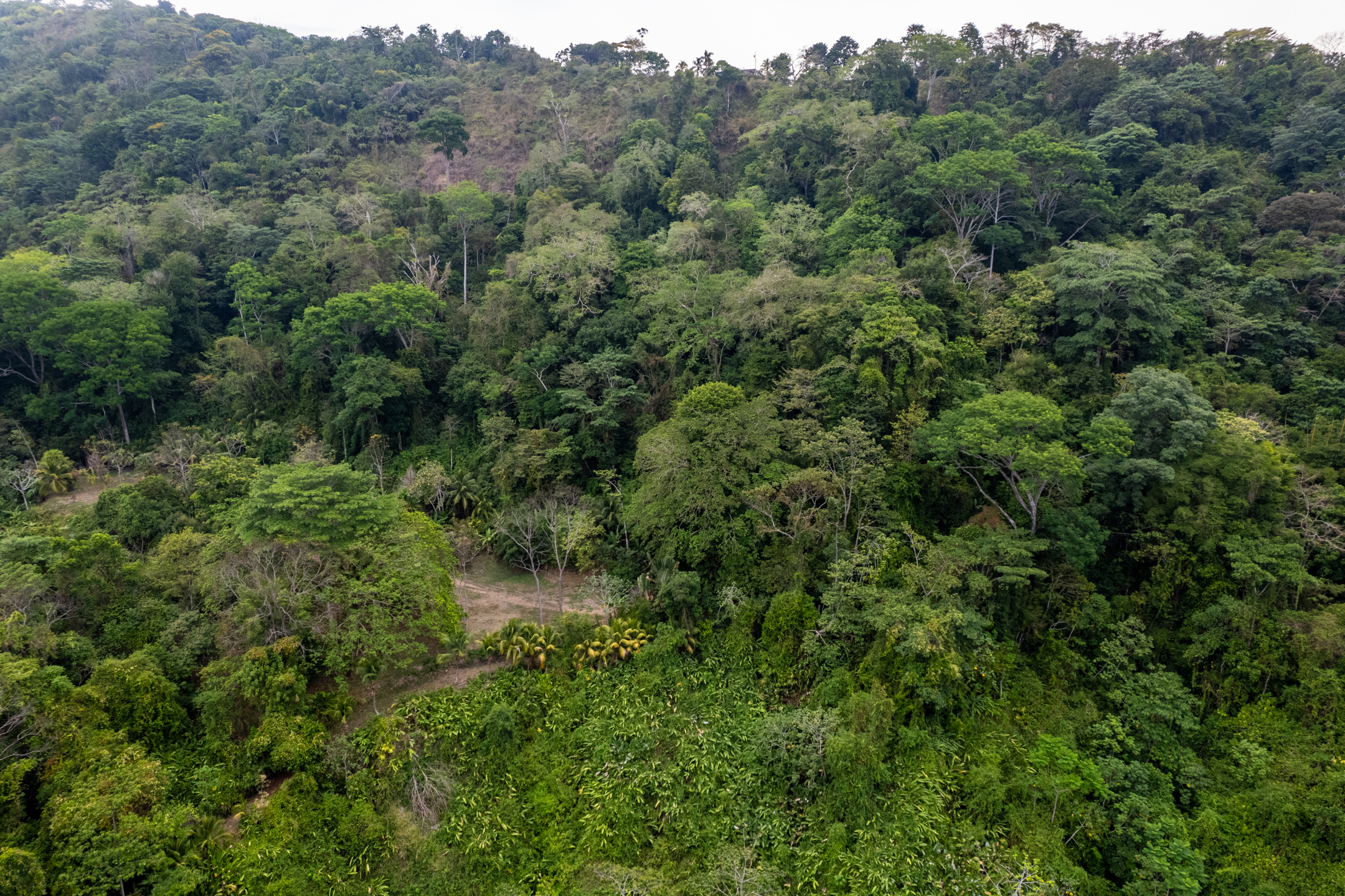 Lagunas, Dominical, Puntarenas, CR, 2 Bedrooms Bedrooms, ,1 BathroomBathrooms,Land,For Sale,Lagunas,1589118