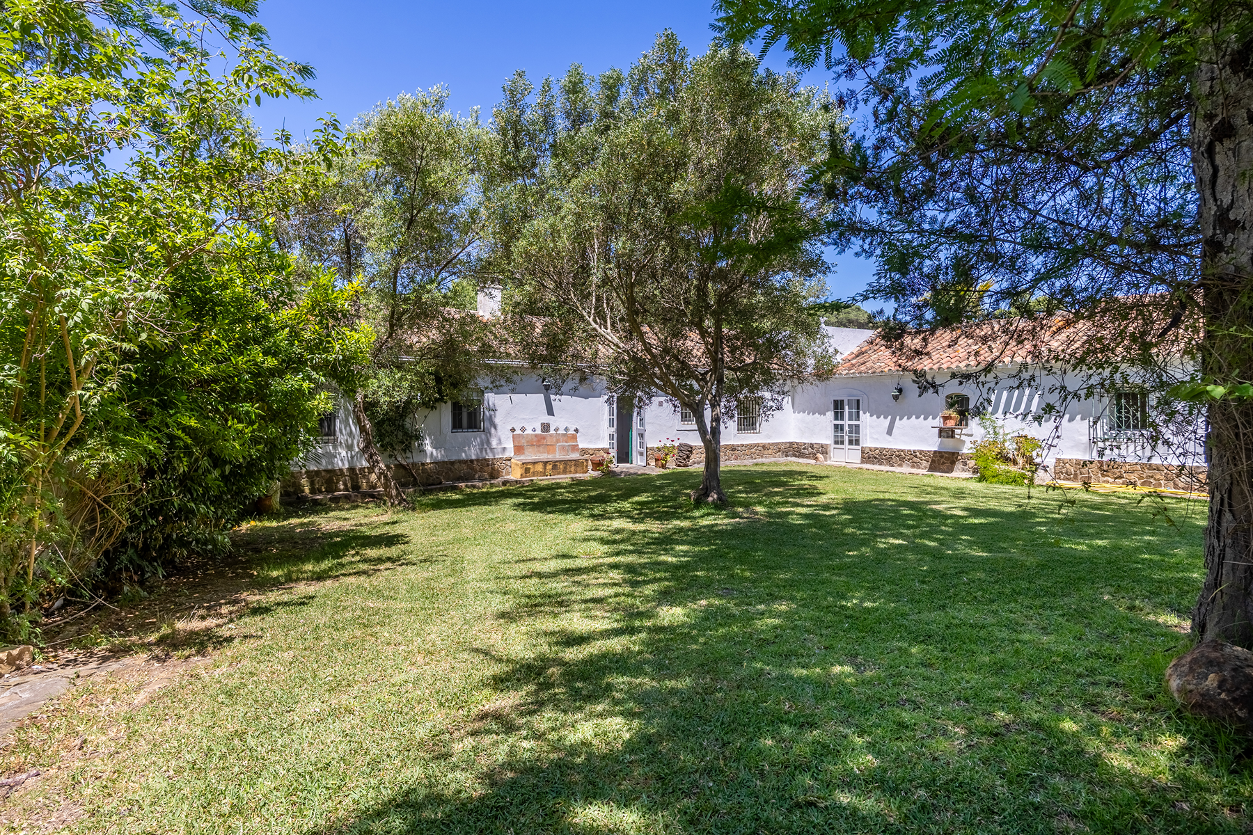  Exclusive Estate in Los Alcornocales Natural Park - 物件實景