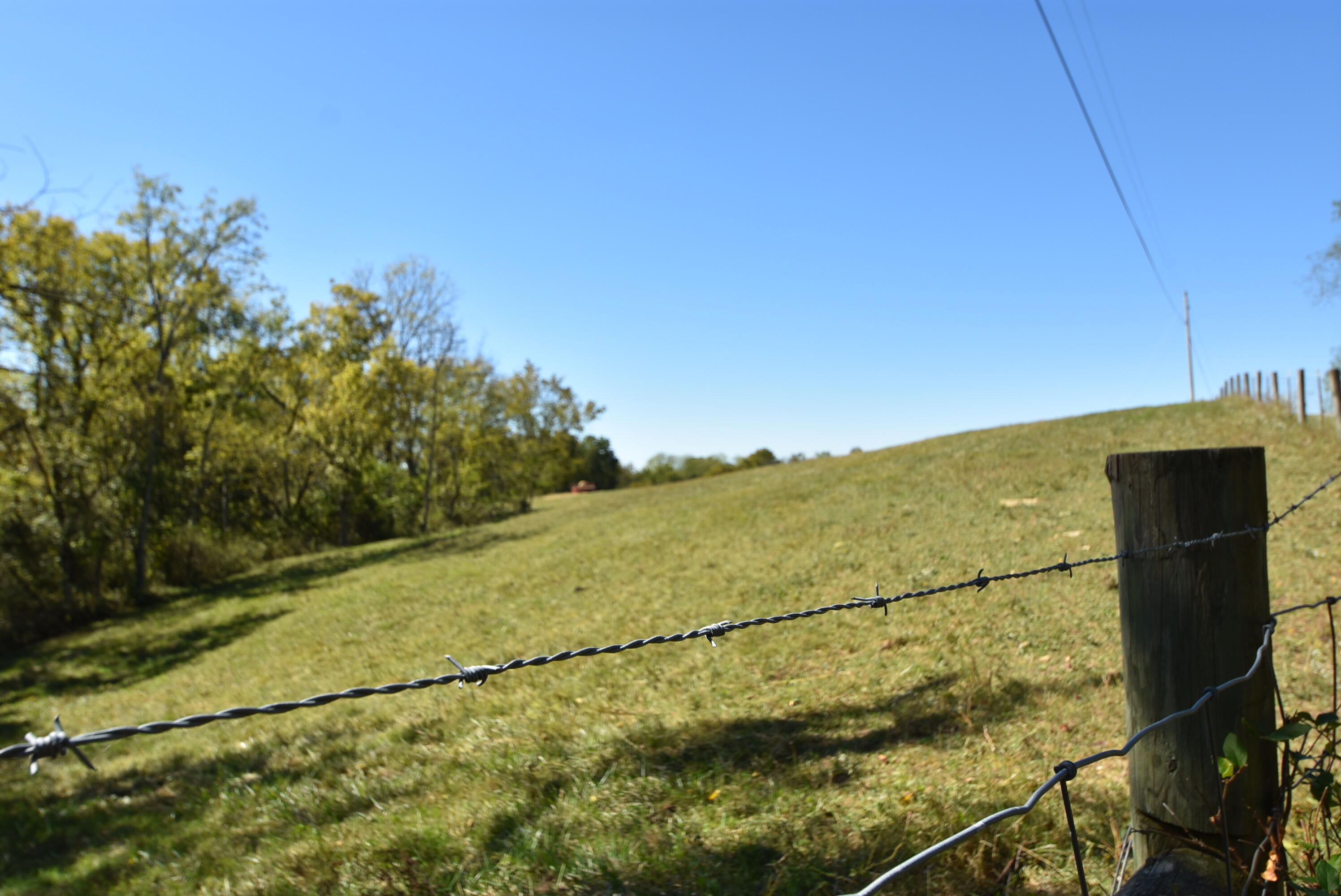 Willisburg, Kentucky, 40078, United States, 4 Bedrooms Bedrooms, ,1 BathroomBathrooms,Residential,For Sale,1962831