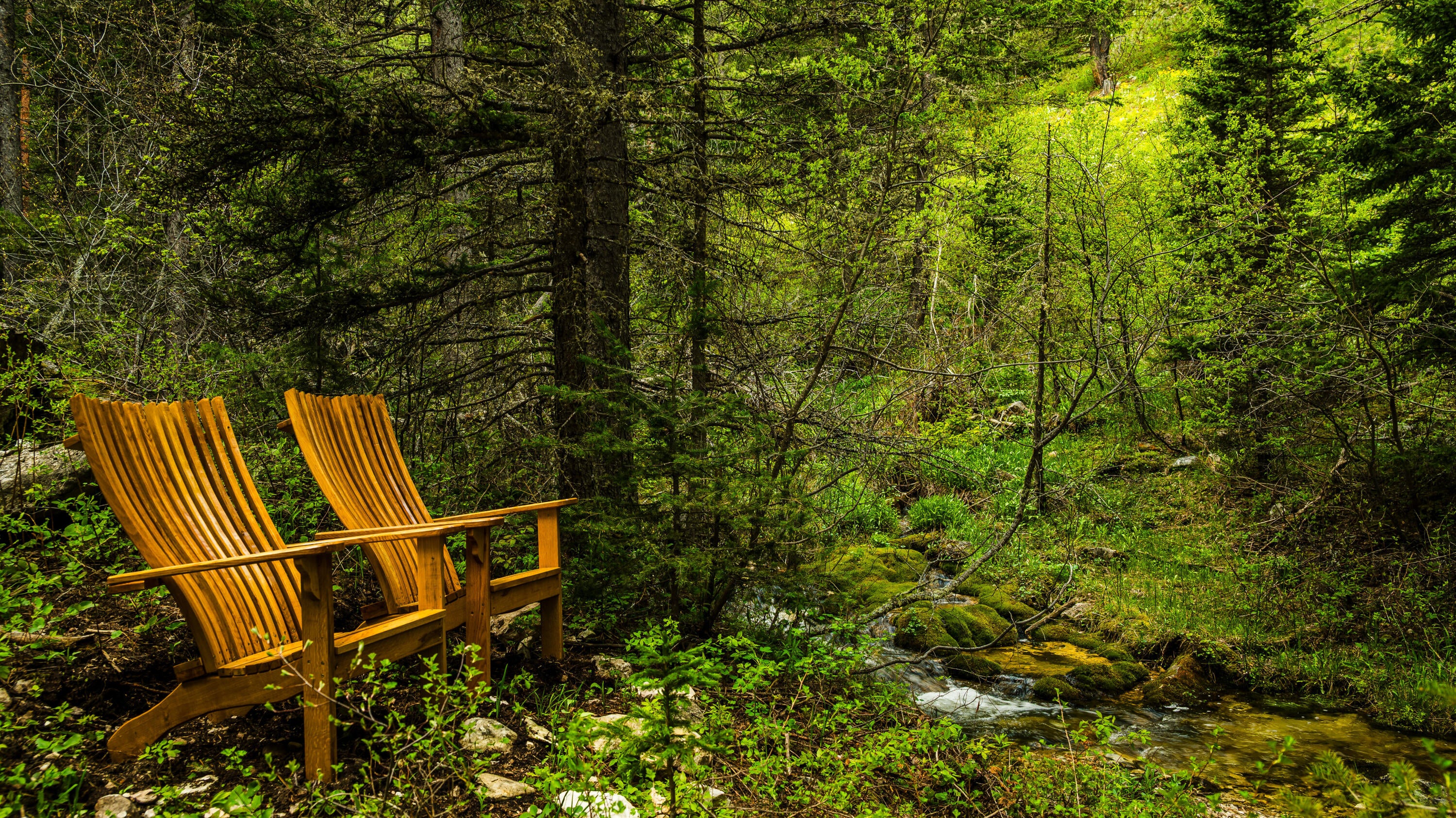 Big Horn, Wyoming, 82833, United States, ,Residential,For Sale,2011314