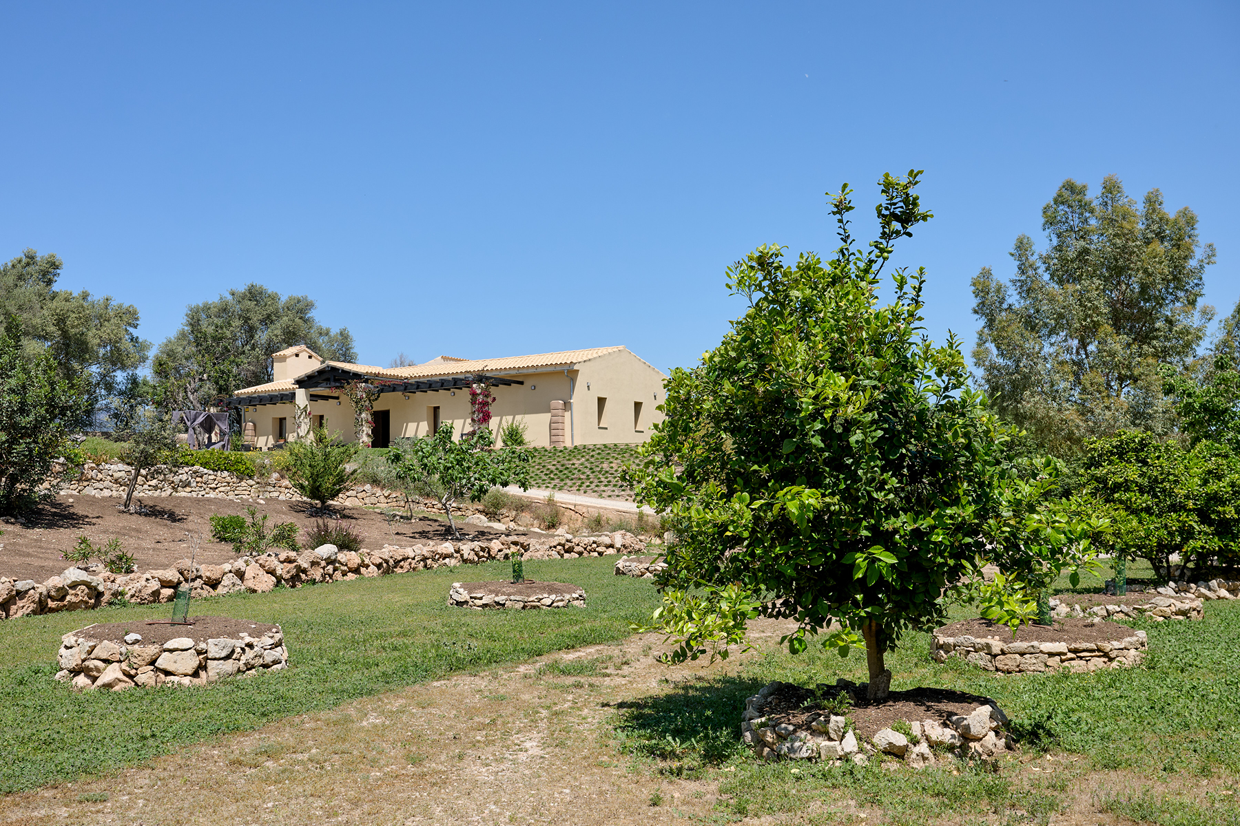  Eco-friendly estate with pool in Marratxí - 物件實景