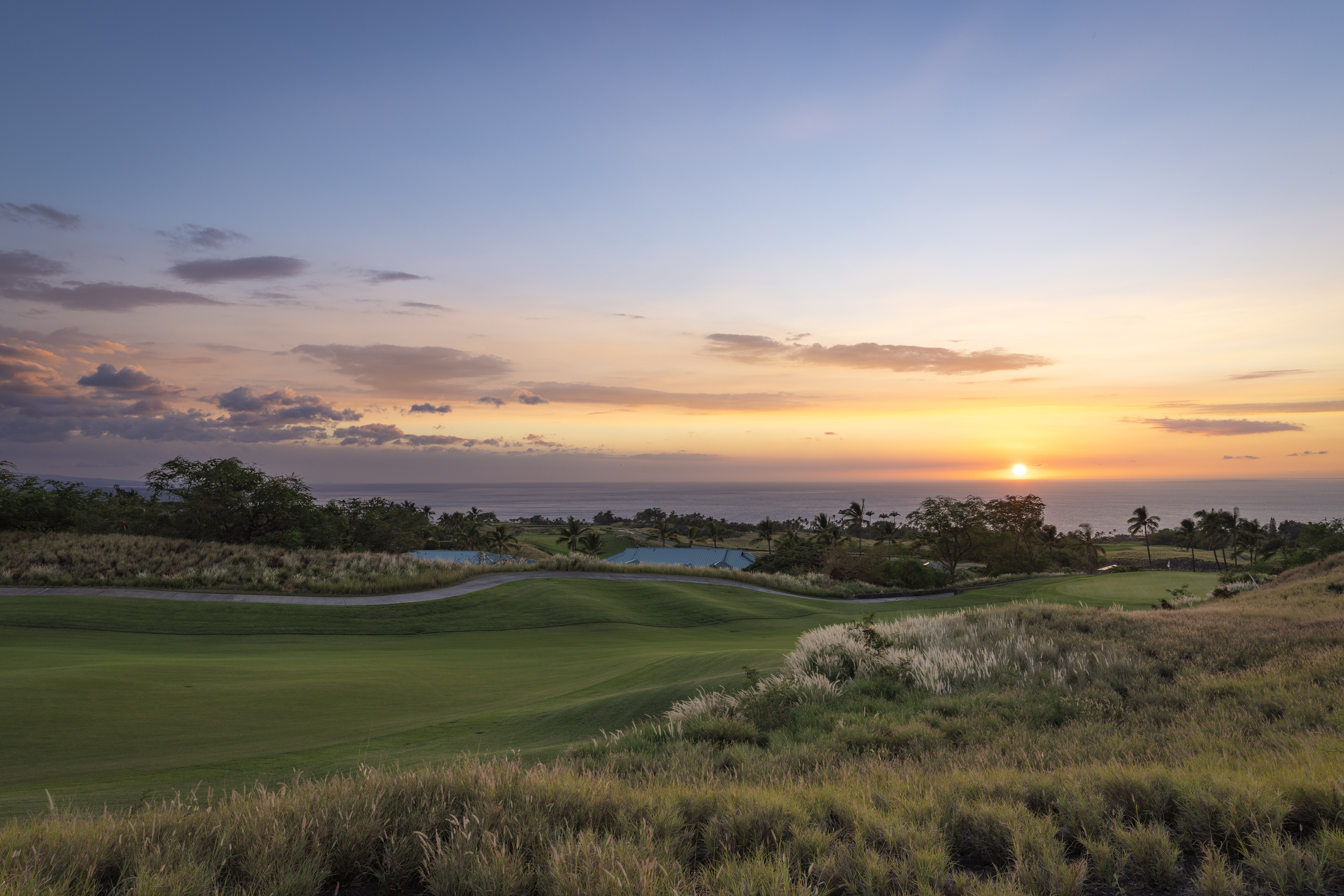  62-6065 Amaui Lani Pl, Kamuela, HI, 96743 - 物件實景