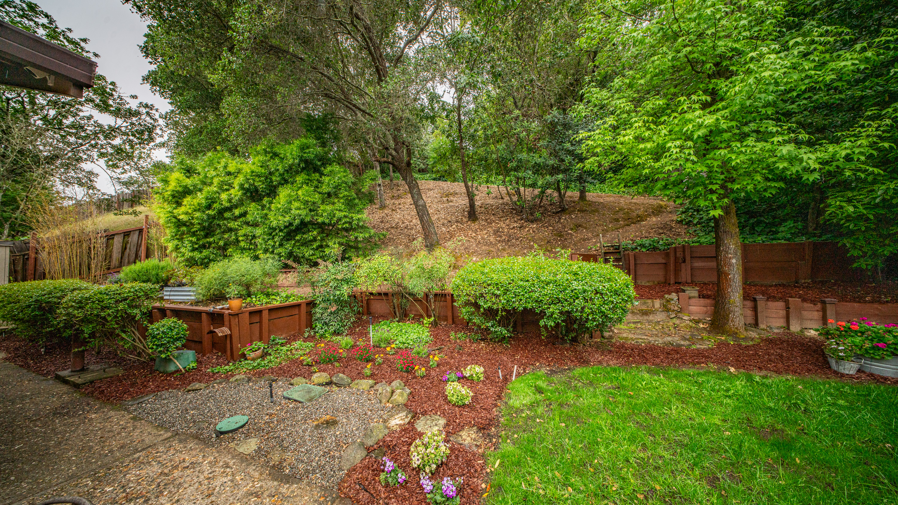  Expanded Single Story Home in Desirable Southern Novato - 物件實景