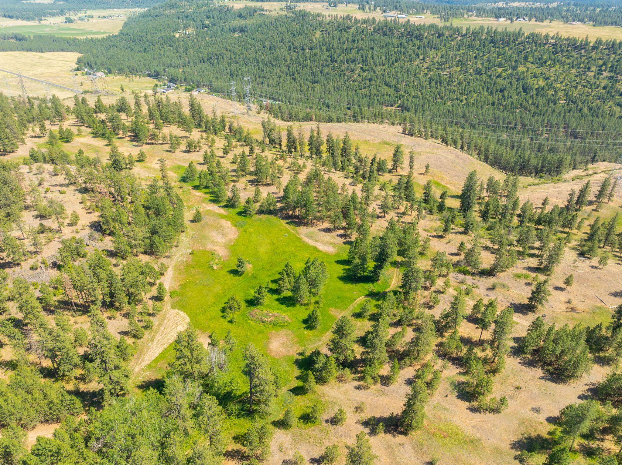 Nine Mile Falls, Washington, 99026, United States, ,Land,For Sale,1960887