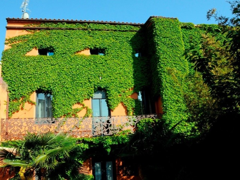 Girona, Palafrugell, Vila de Palafrugell Girona, P, Palafrugell, Catalonia, ES, 3 Bedrooms Bedrooms, ,3 BathroomsBathrooms,Residential,For Sale,Girona, Palafrugell, Vila de Palafrugell Girona, P,1619679