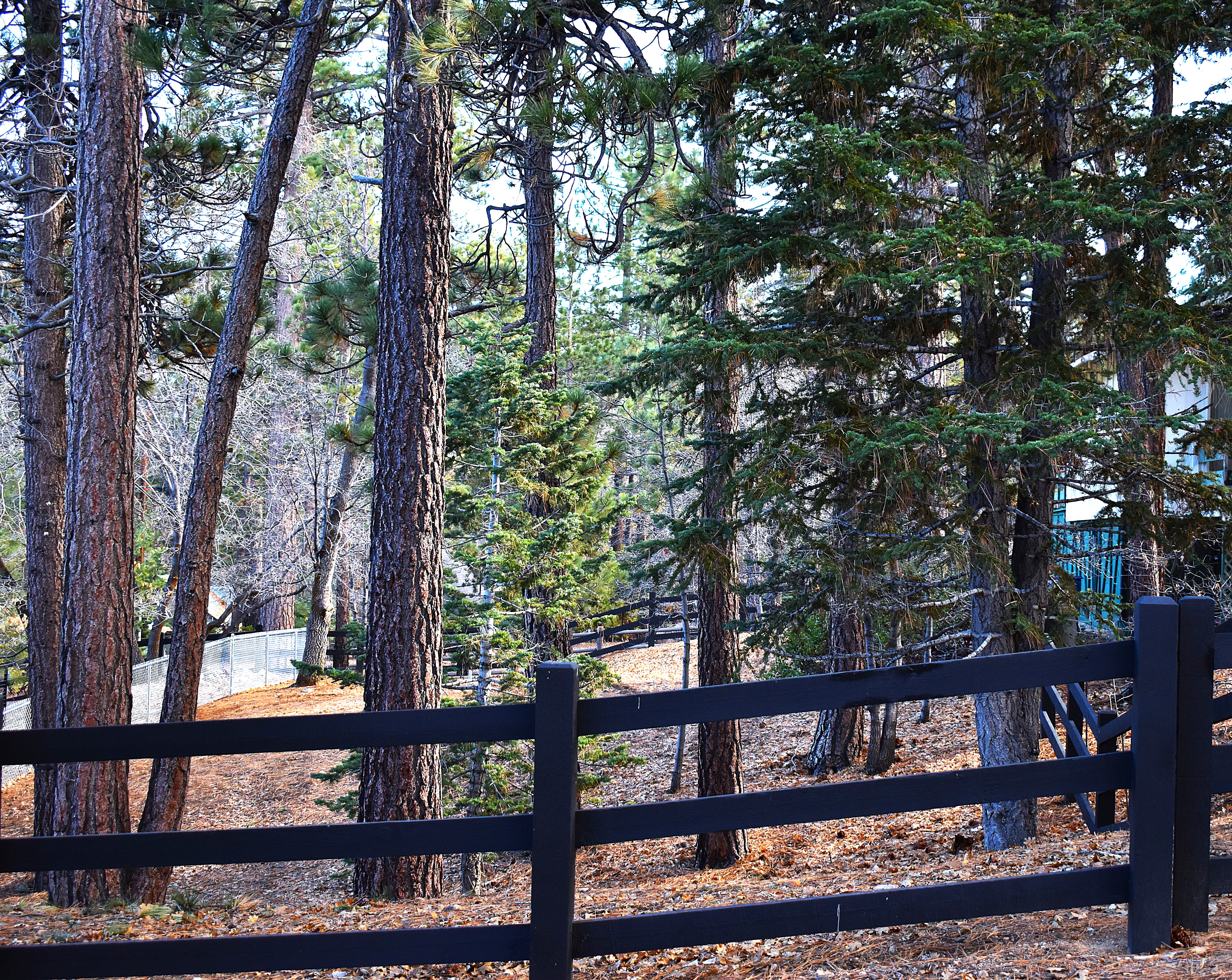  812 Ford Lane, Big Bear Lake, CA 92315 - 物件實景