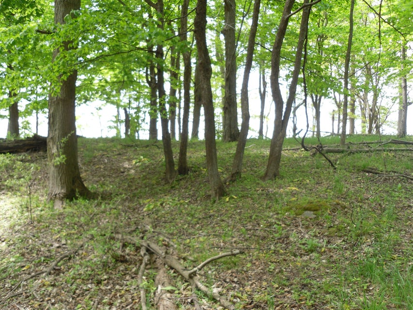 Ludington, Michigan, 49431, United States, ,Residential,For Sale,1915424