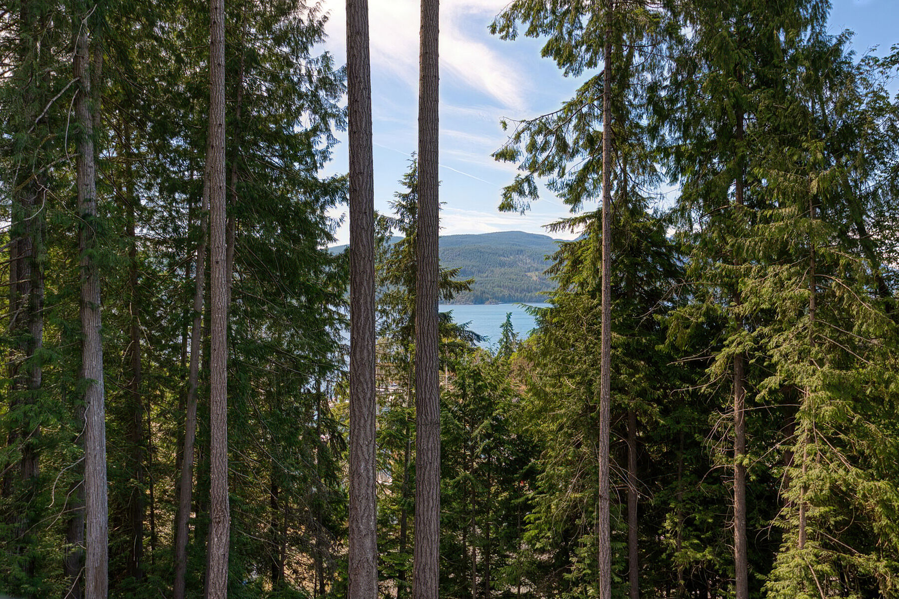  Sechelt, Sunshine Coast - 物件實景