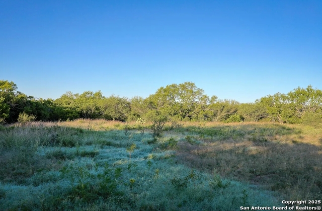 Beeville, Texas, 78102, United States, ,Land,For Sale,1988333