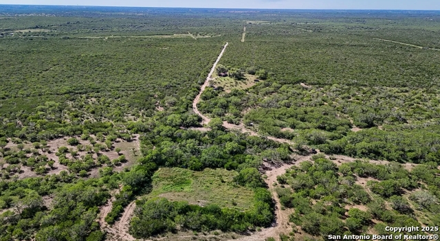 Beeville, Texas, 78102, United States, ,Land,For Sale,1988302