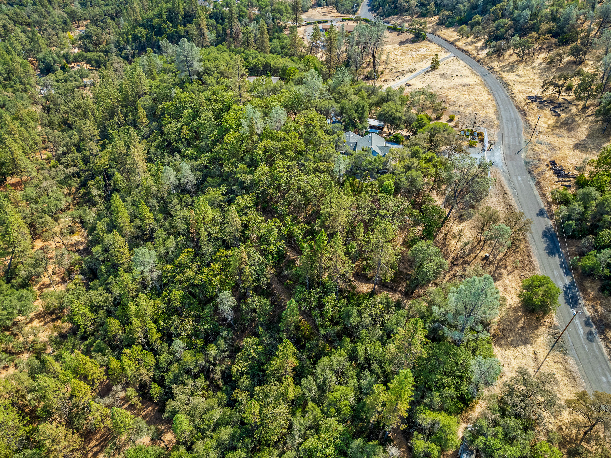  4711 Meadowview Acres Road, Cool, CA 95614 - 物件實景