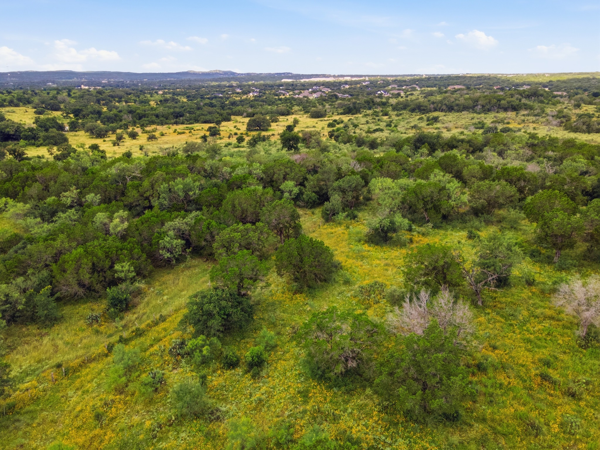  16 Acres in Spicewood - 物件實景