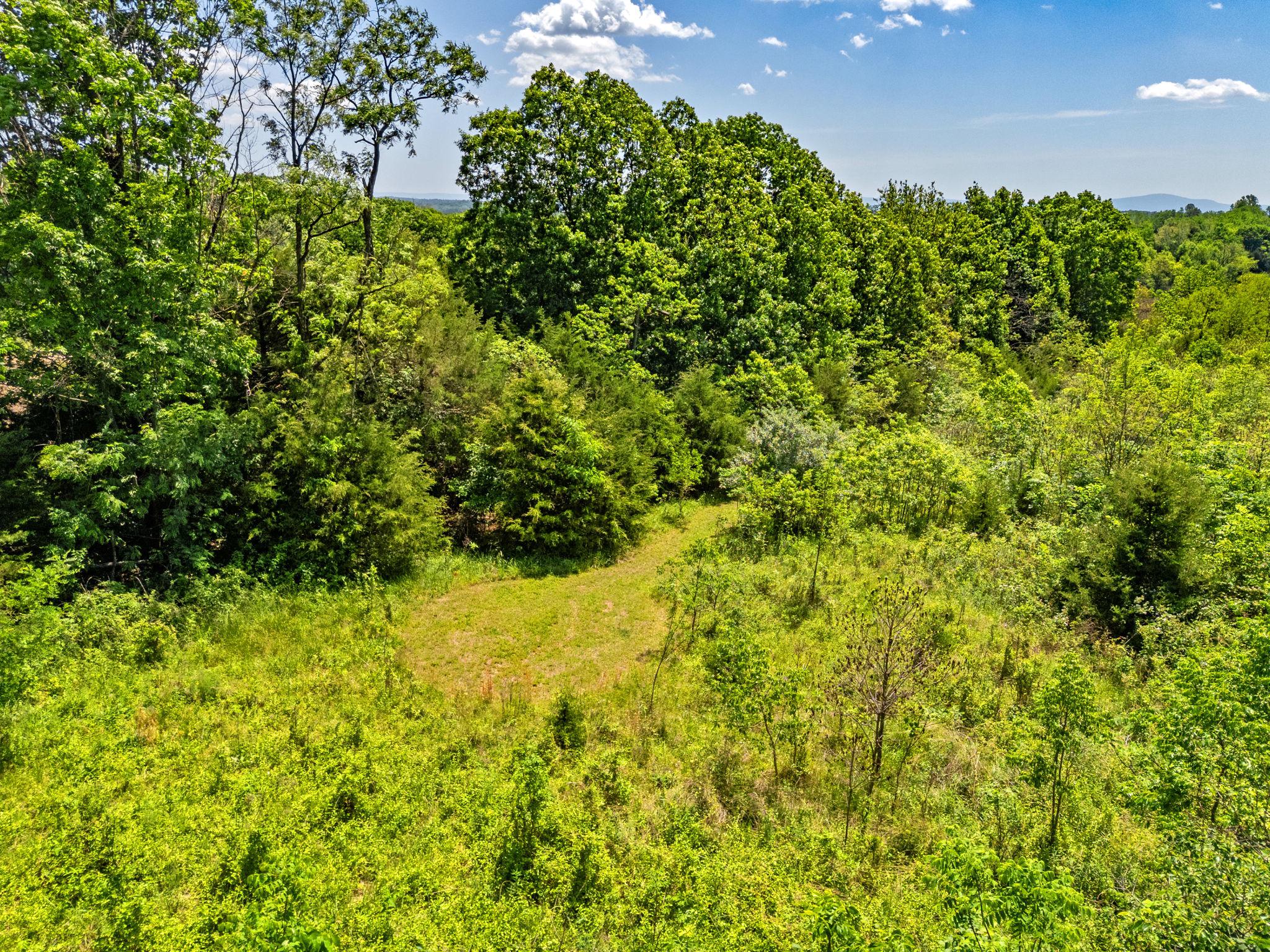  384 Lindamood Lane, Strasburg, VA, 22641 - 物件實景