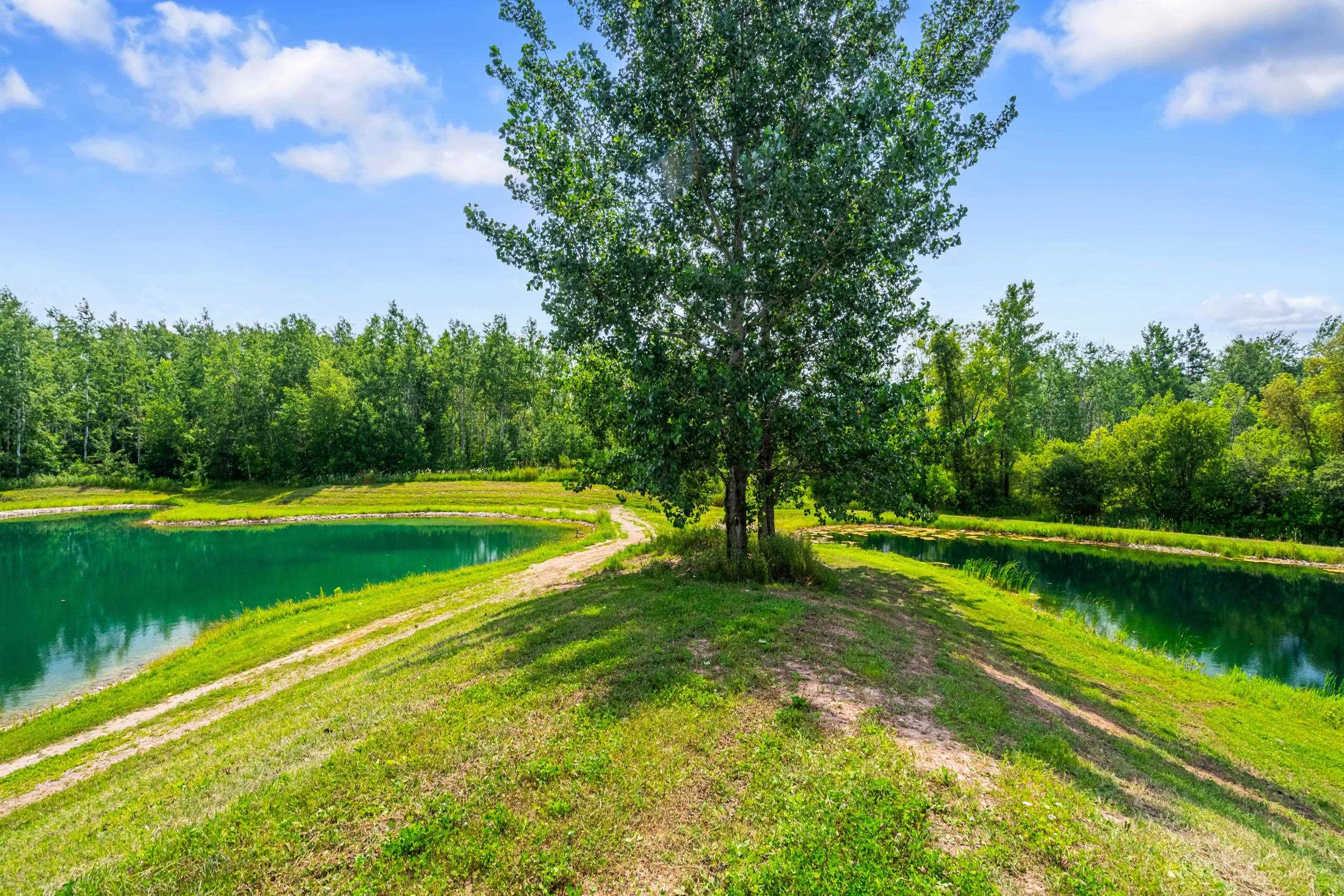 Black Creek, Wisconsin, 54106, United States, ,Residential,For Sale,1937063