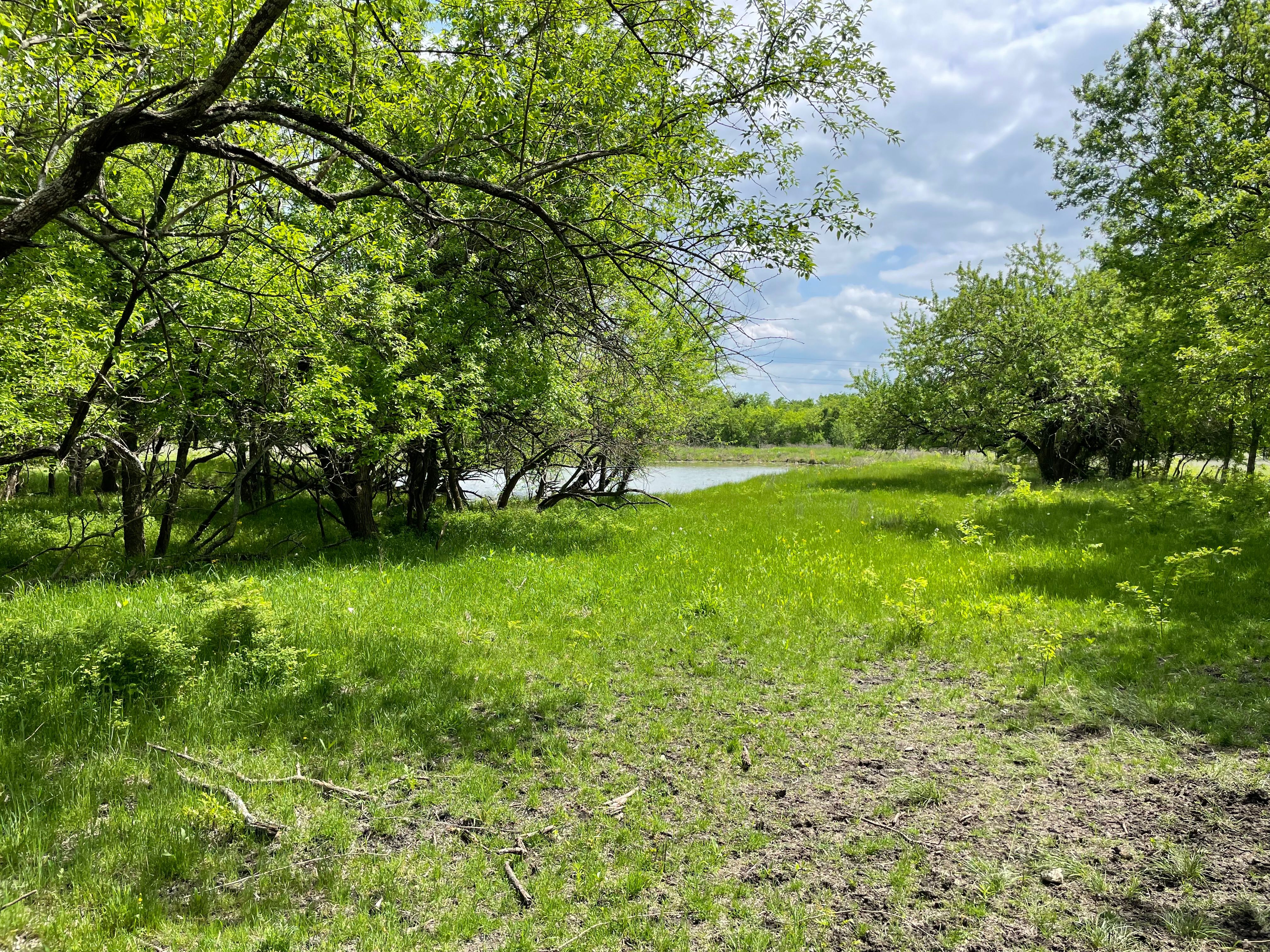  4008 Rolling Lane, Greenville, TX, 75401 - 物件實景
