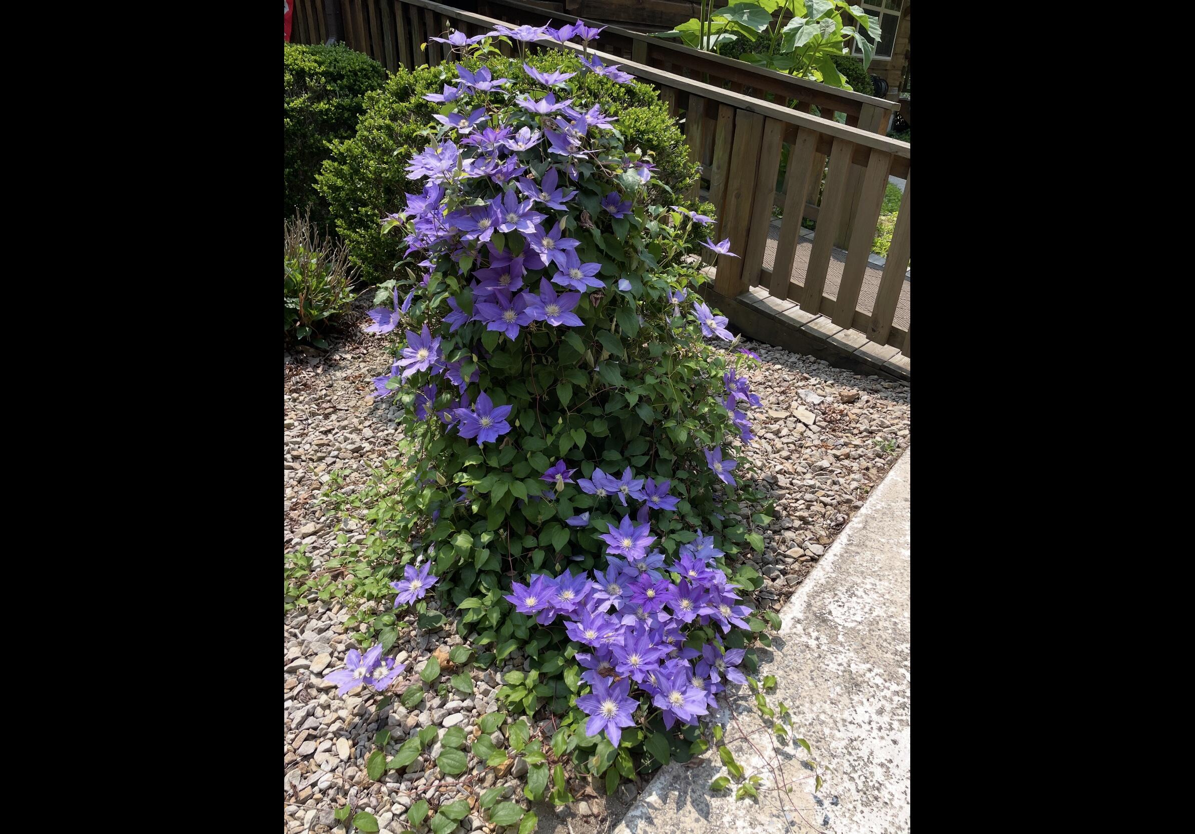 Tracy City, Tennessee, 37387, United States, 3 Bedrooms Bedrooms, ,Residential,For Sale,1979741