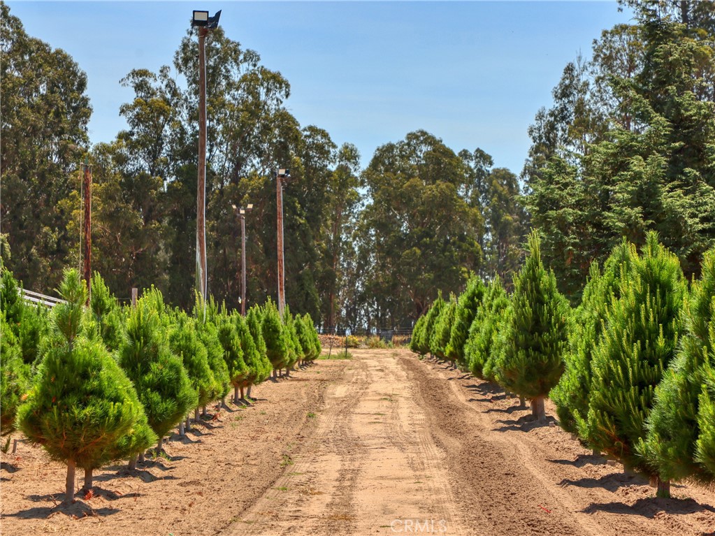 Nipomo, California, 93444, United States, ,Land,For Sale,1977690