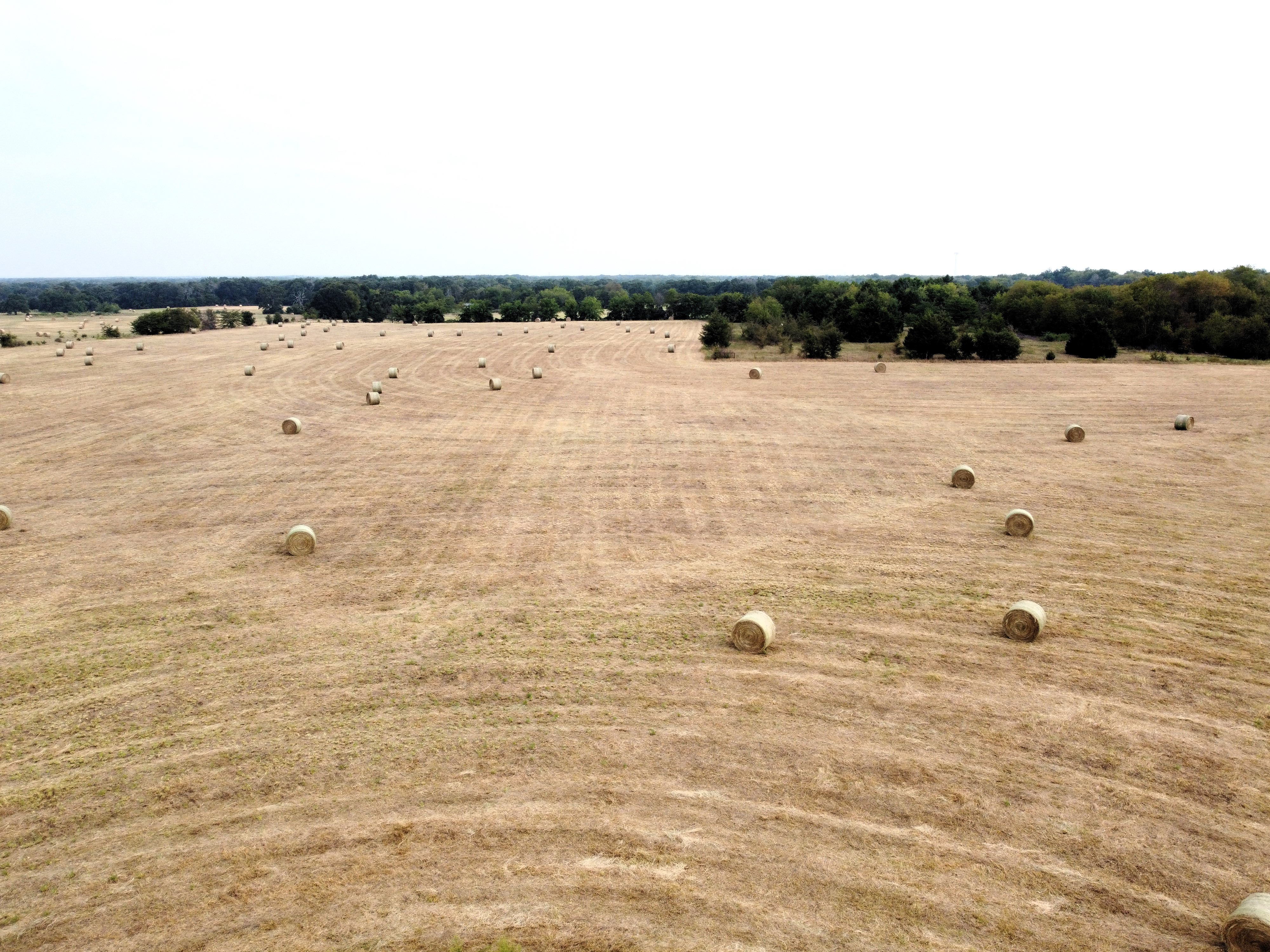 Cumby, Texas, 75433, United States, ,Land,For Sale,1987346