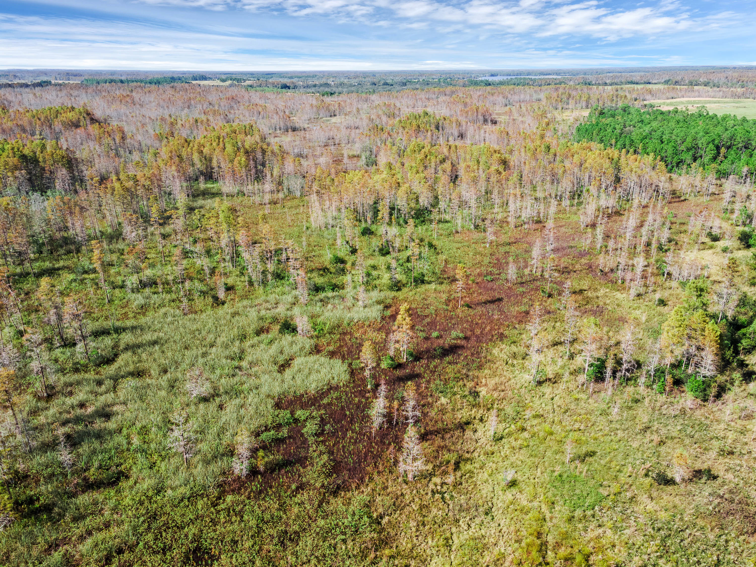 Diamond Acres Rd, Davenport, Florida, 33837, United States, ,Residential,For Sale,Diamond Acres Rd,1405228