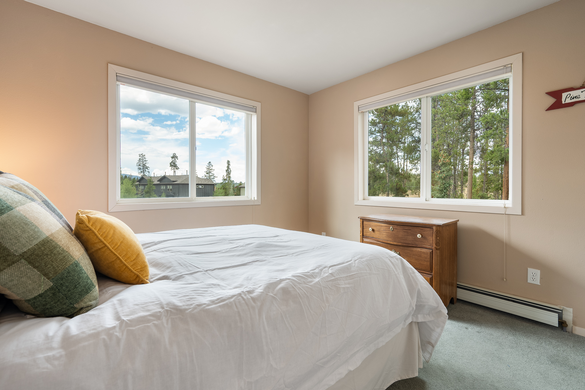  753 Mulligan, Fraser, CO, 80442 - 物件實景