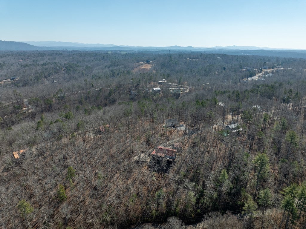 Ellijay, Georgia, 30540, United States, 4 Bedrooms Bedrooms, ,4 BathroomsBathrooms,Residential,For Sale,1858933