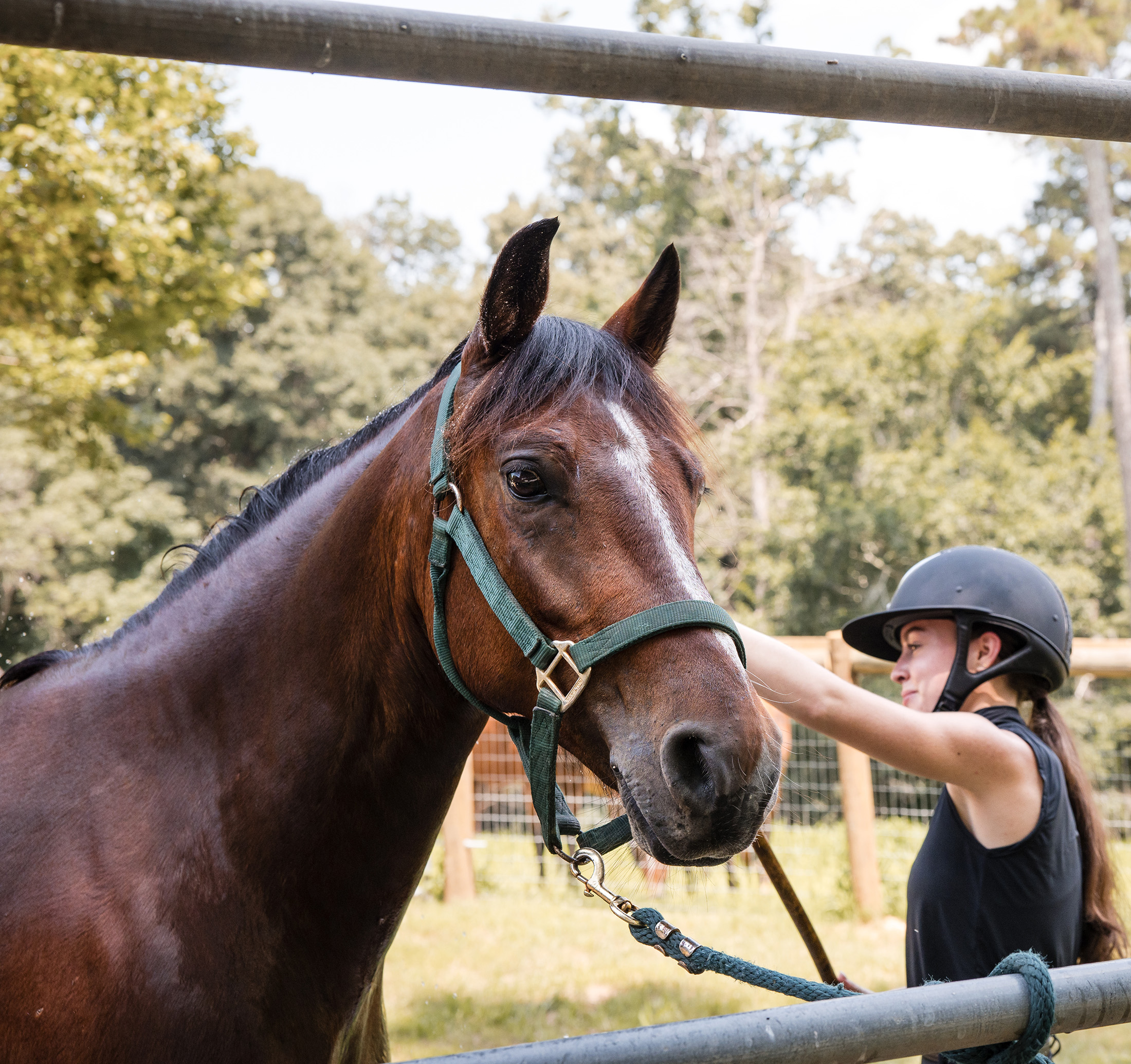  Rare Equestrian Facility with Prestigious Address - 物件實景
