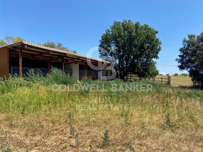 Girona, Siurana, Siurana Girona, Siurana, Siurana, Siurana, Catalonia, ES, 5 Bedrooms Bedrooms, ,3 BathroomsBathrooms,Residential,For Sale,Girona, Siurana, Siurana Girona, Siurana, Siurana ,1621457