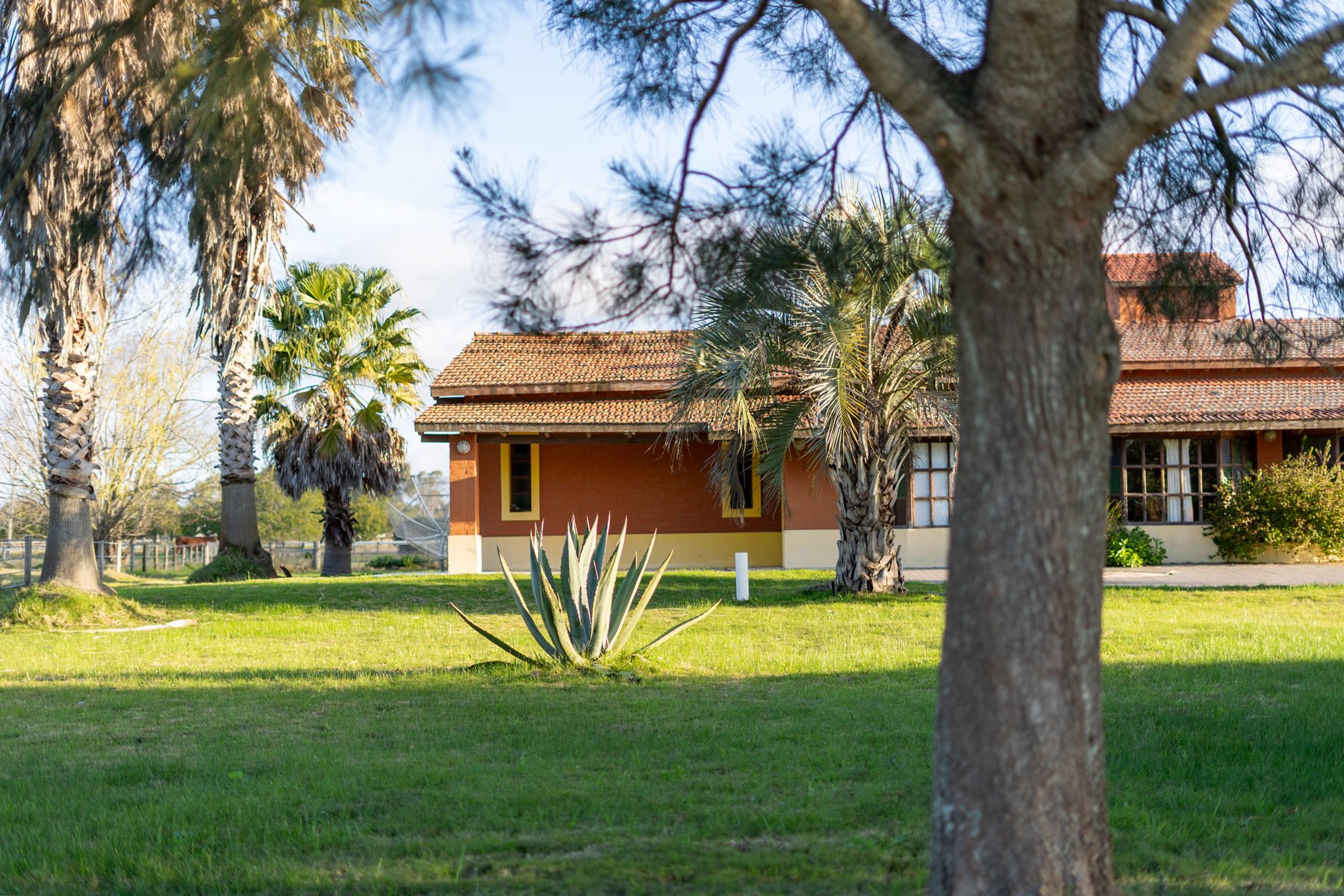  NAHUEL Stud Farm - 物件實景
