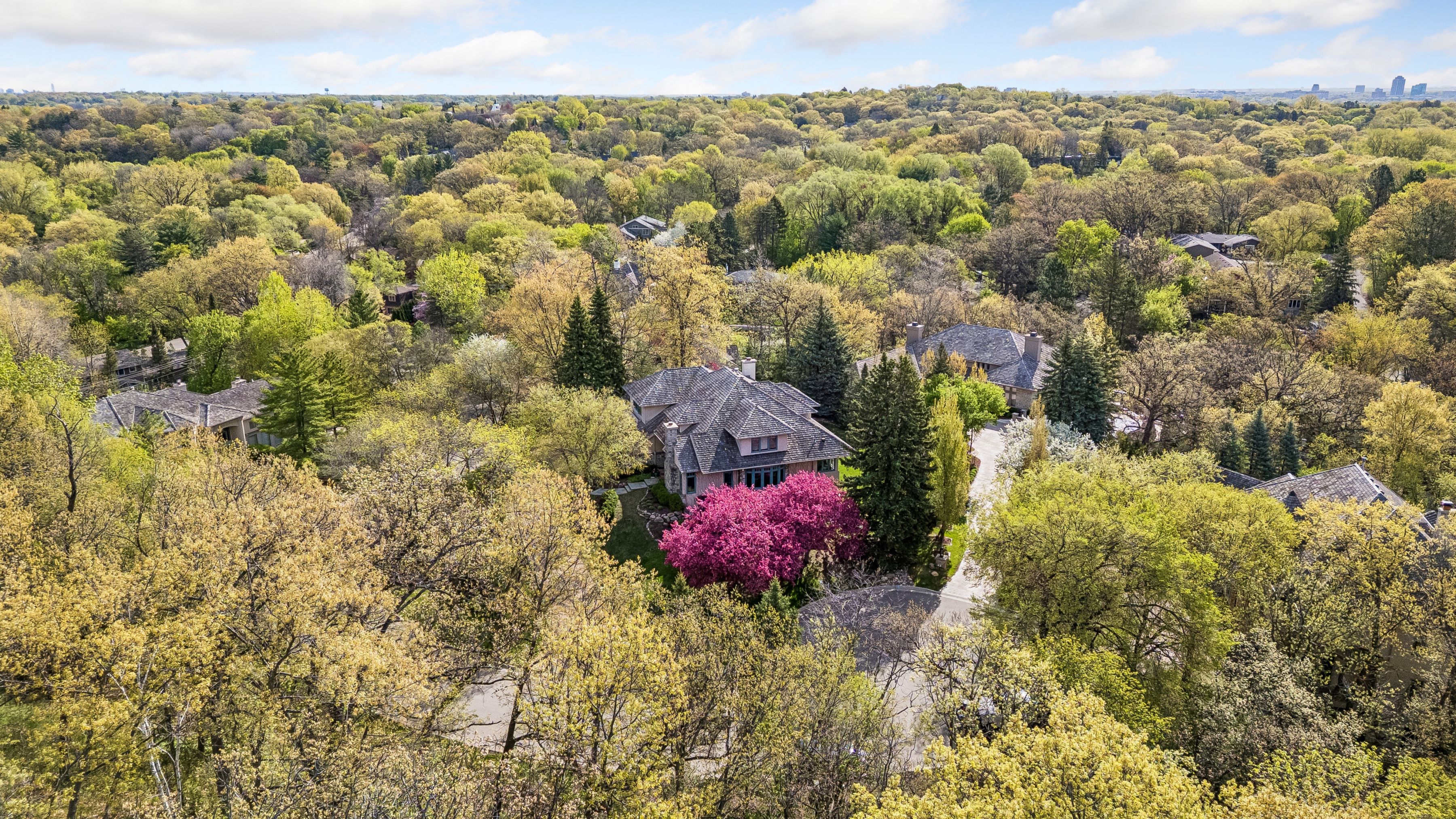  Graceful Executive Living in a Serene Edina Setting - 物件實景